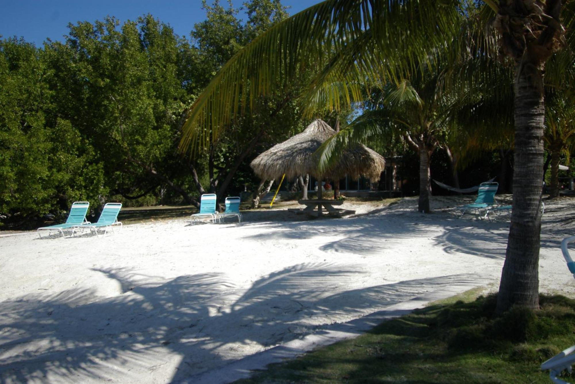 Rock Reef