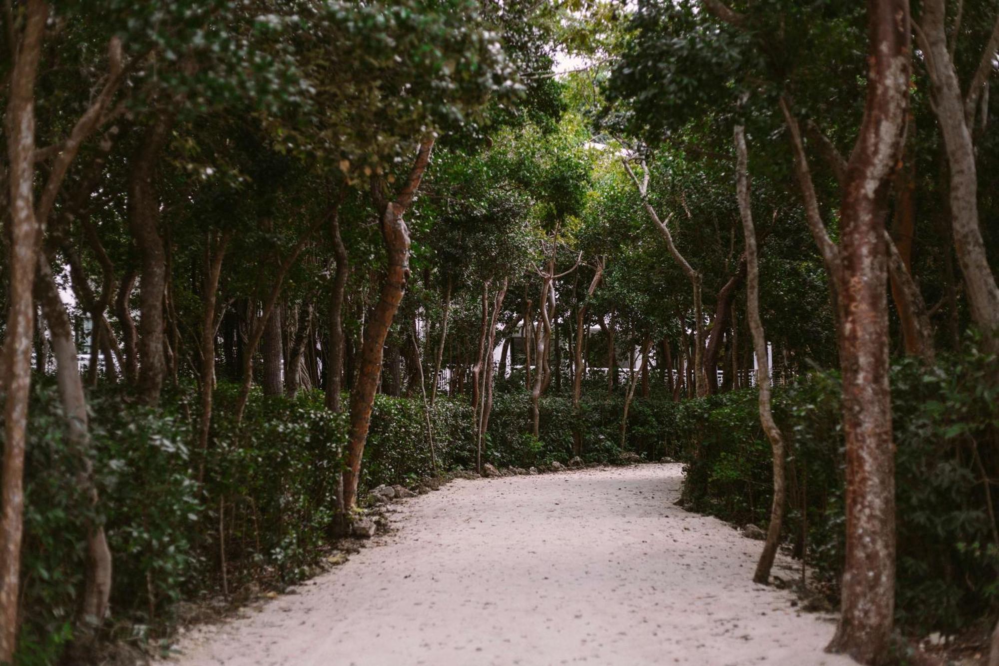 Baker's Cay Key Largo, Curio Collection By Hilton Resort 4*
