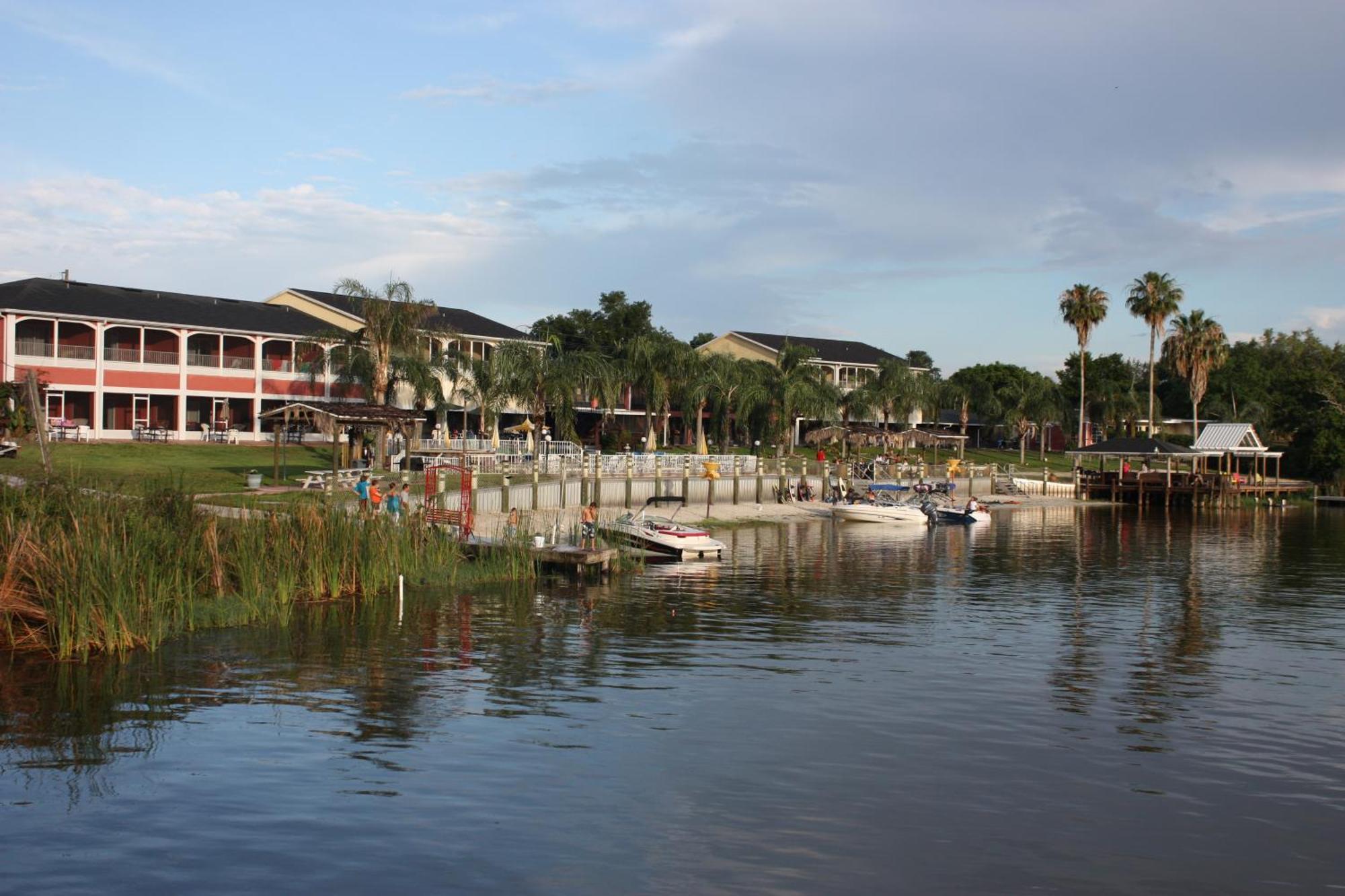 Roy - Winter Haven