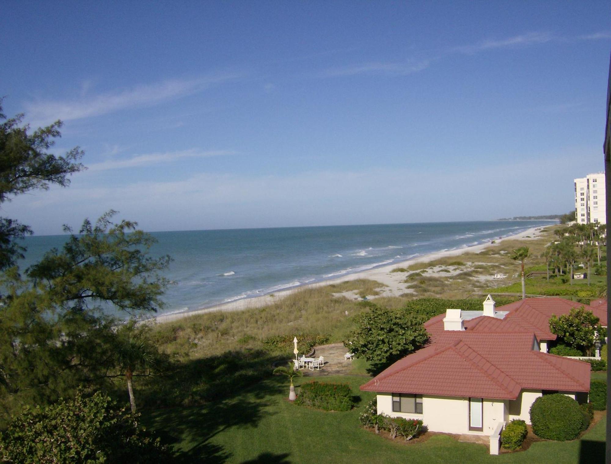 Turtle Crawl - Inn Longboat Key