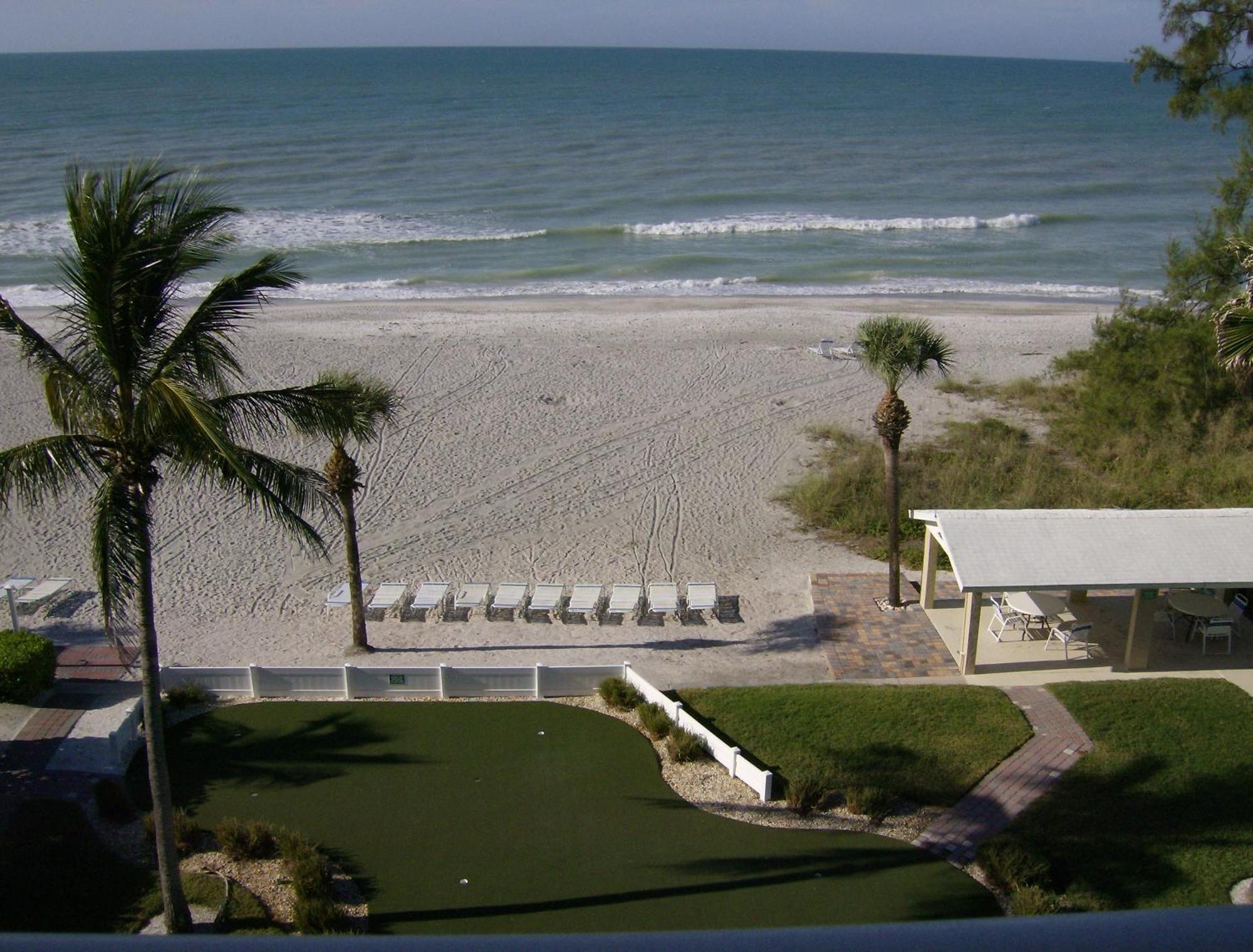 Turtle Crawl - 4* Longboat Key