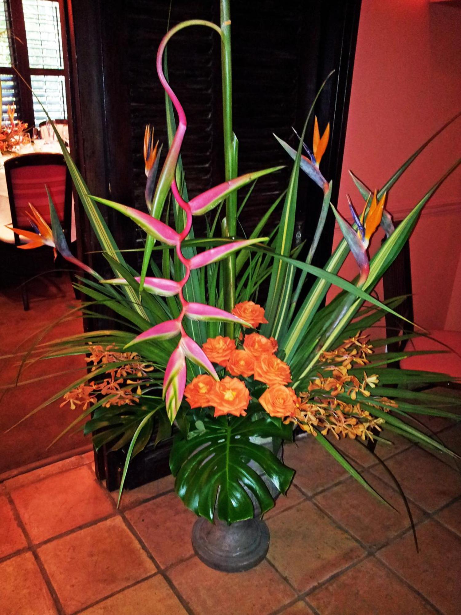 The Caribbean Court Boutique 3* Vero Beach