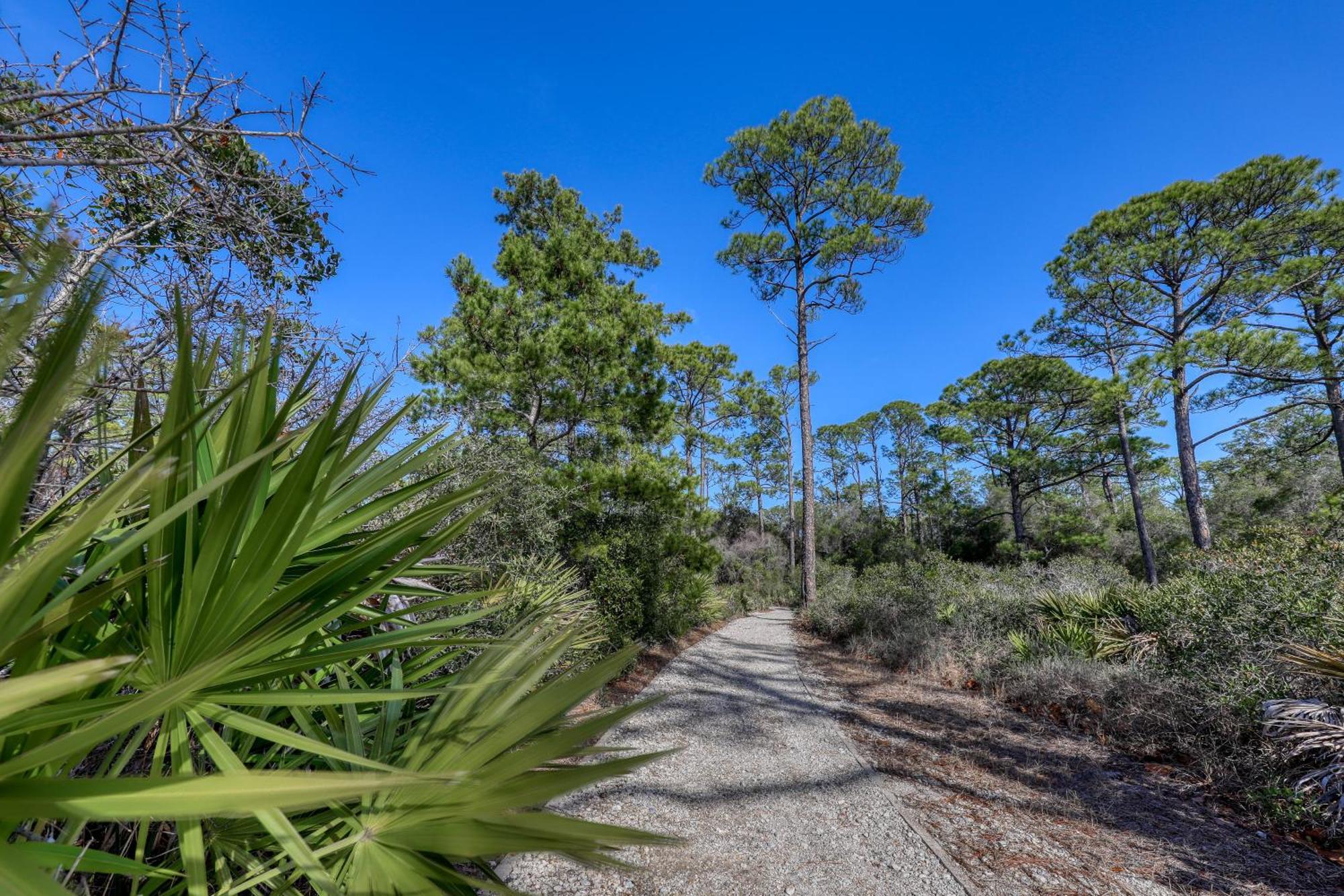 High Pointe Panama City Beach