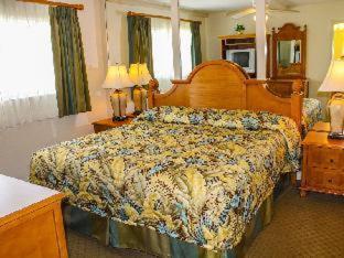 Hotel Coral Reef 3*