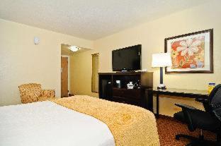 Spark By Hilton Orlando Near Seaworld