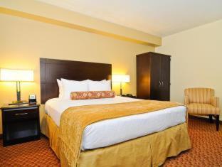 Hotel Spark By Hilton Orlando Near Seaworld Williamsburg