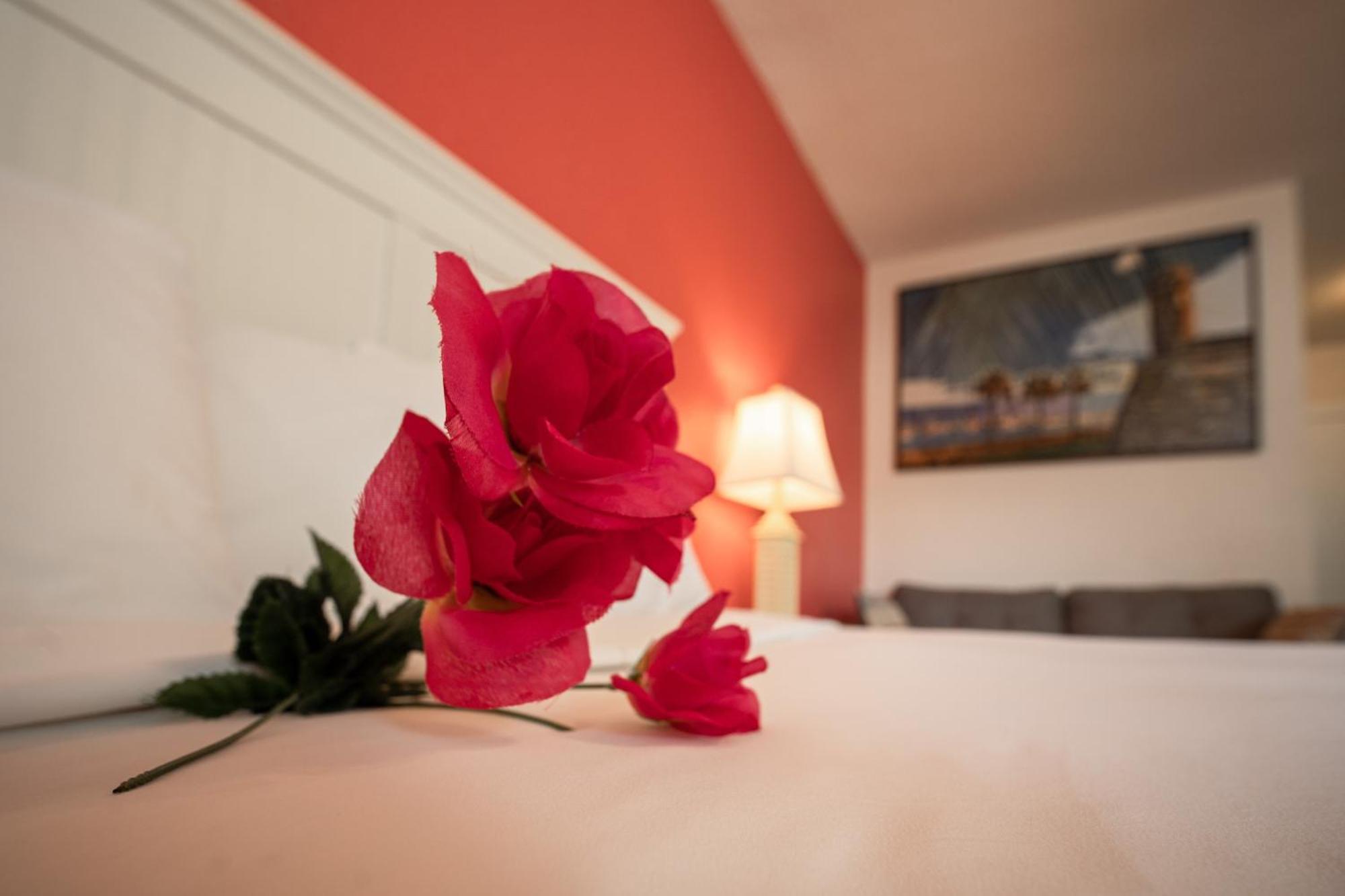 Island Sun & - Venice, Florida Historic Downtown & Getaway Motel 2*