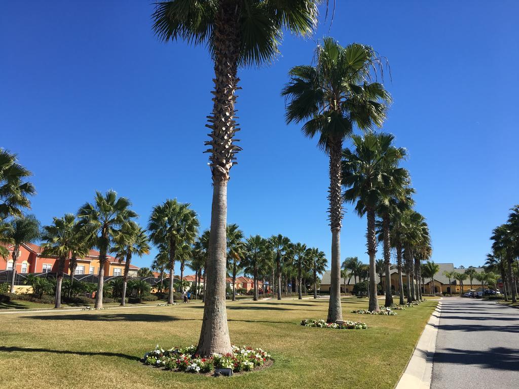 Dws Vacation Orlando