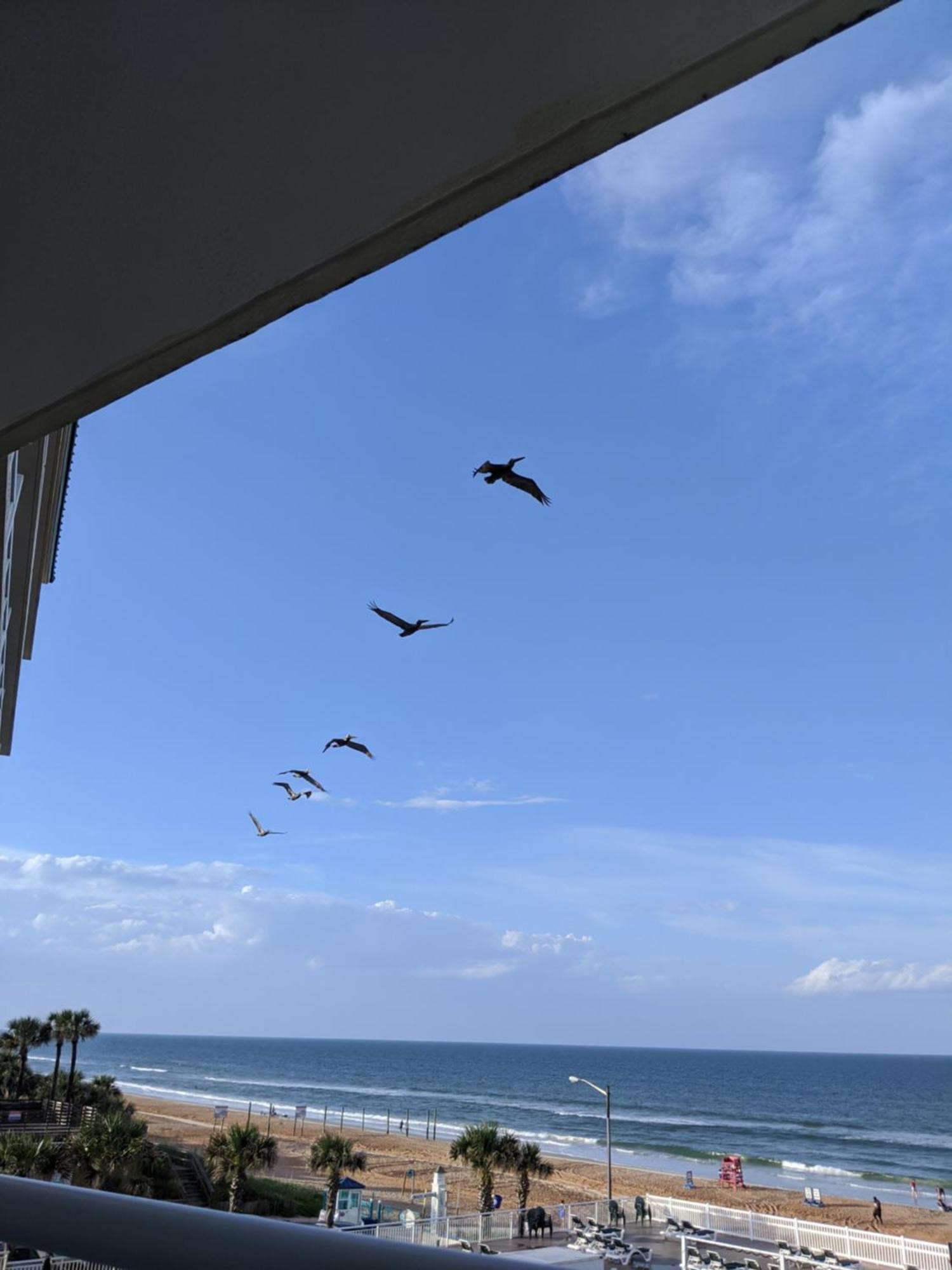 Royal Floridian By Spinnaker Resort 3*