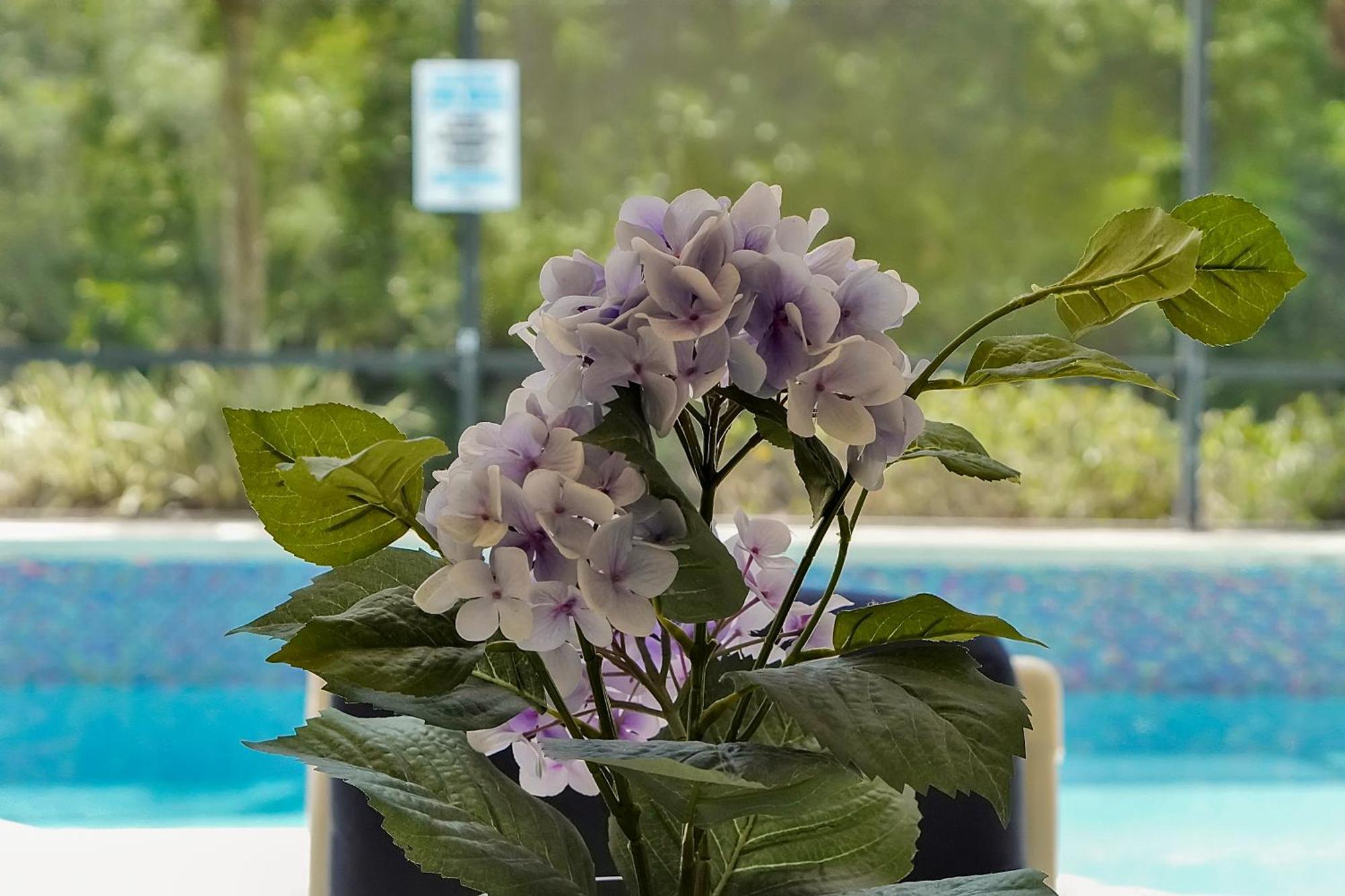 Holiday home Tropical Escape: Pool,spa & Themed Game Kissimmee