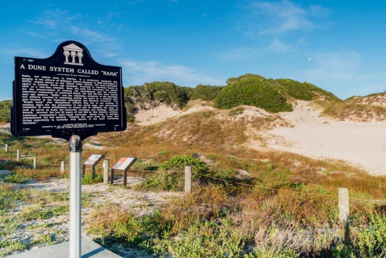 Mermaid Castle - Oceanfront Luxury House - Rooftop Deck Holiday home Fernandina Beach