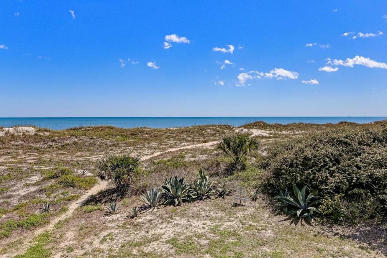 Mermaid Castle - Oceanfront Luxury House - Rooftop Deck * Fernandina Beach