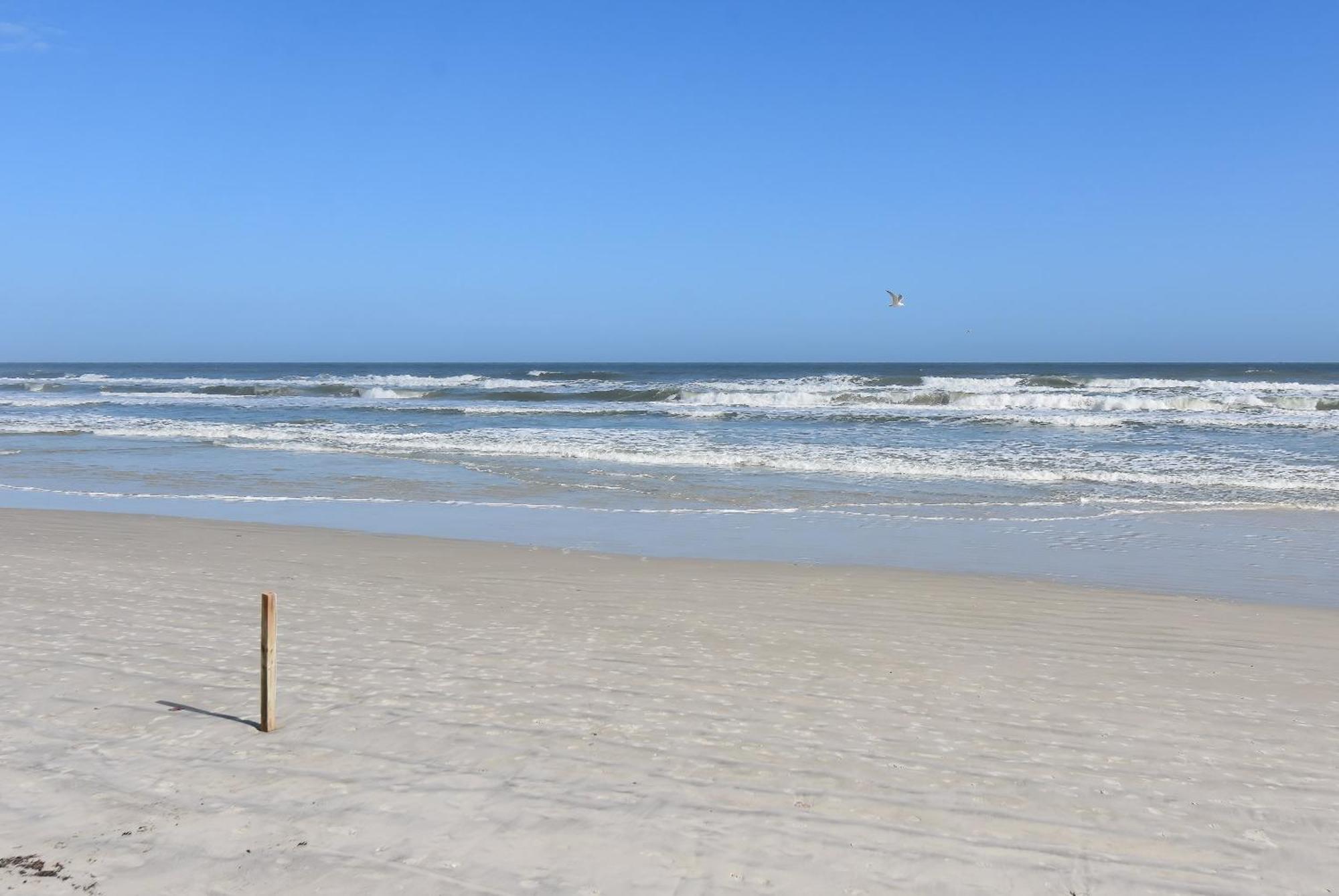 Prime Location Pool Views Oceanview Gem Chateau By The Sea 22b New Smyrna Beach