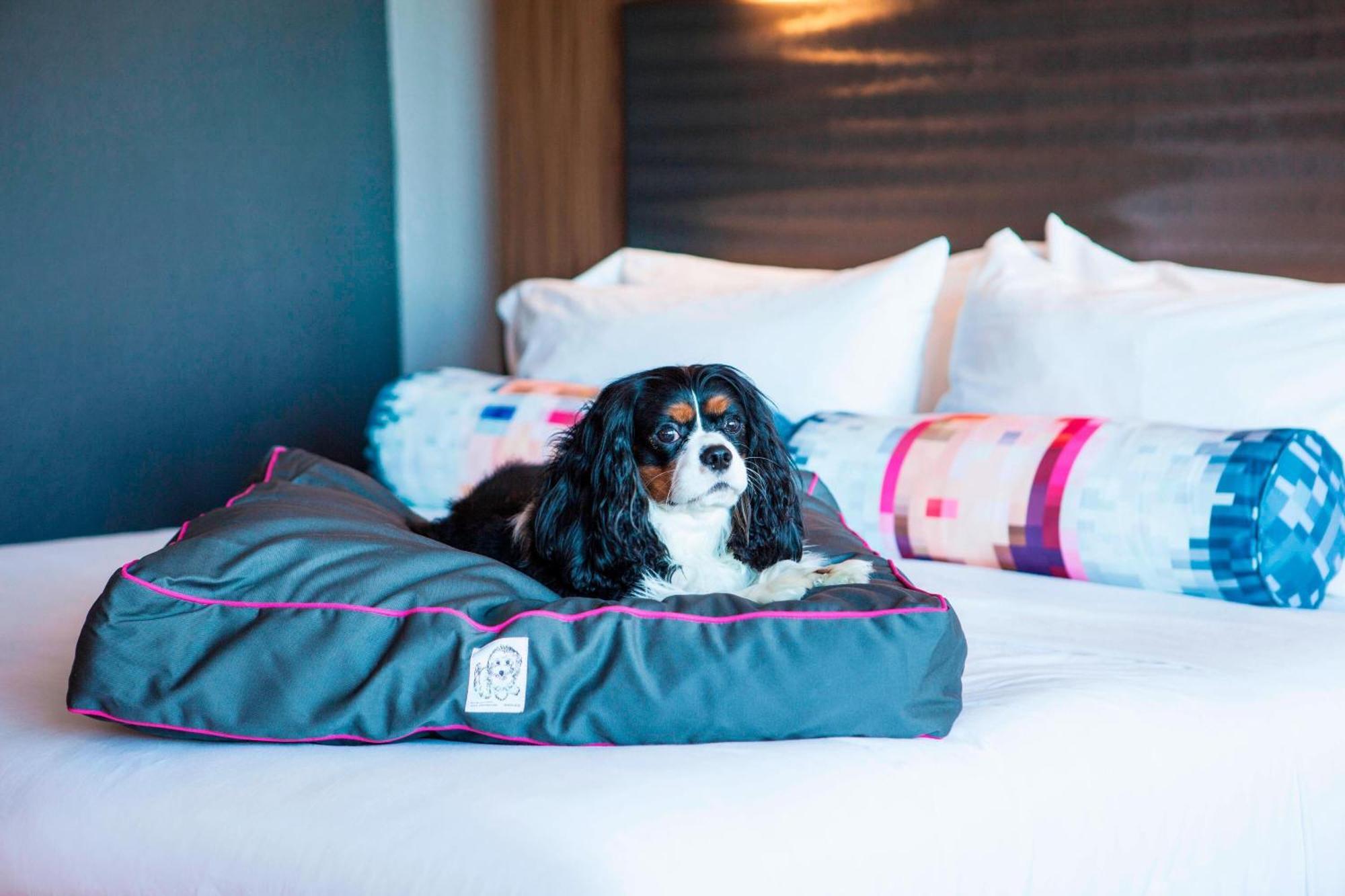 Hotel Aloft Miami Dadeland Kendall