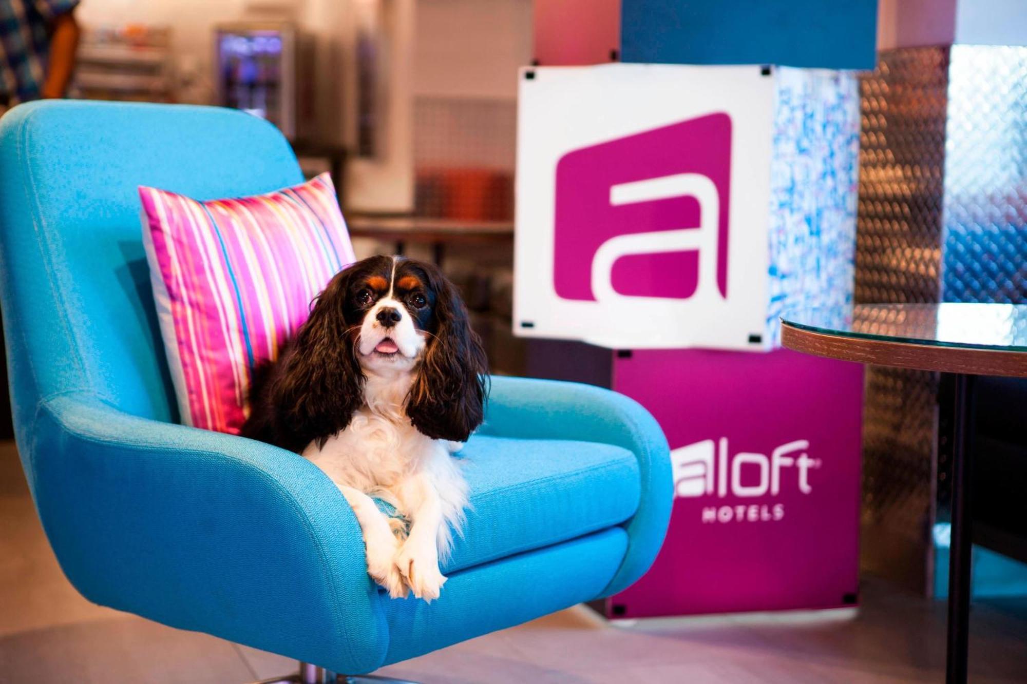 Aloft Miami Dadeland