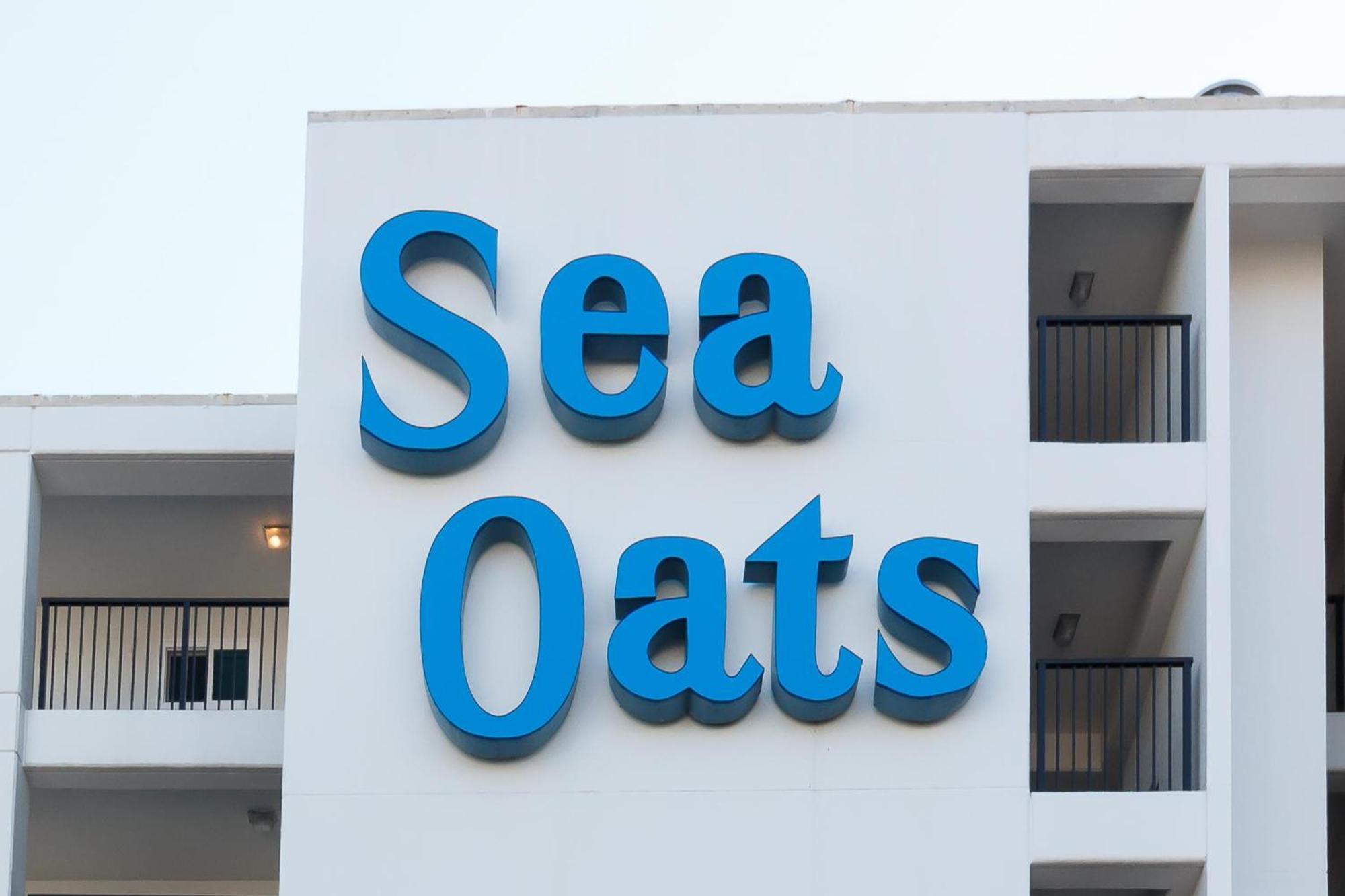 Sea Oats #205 *