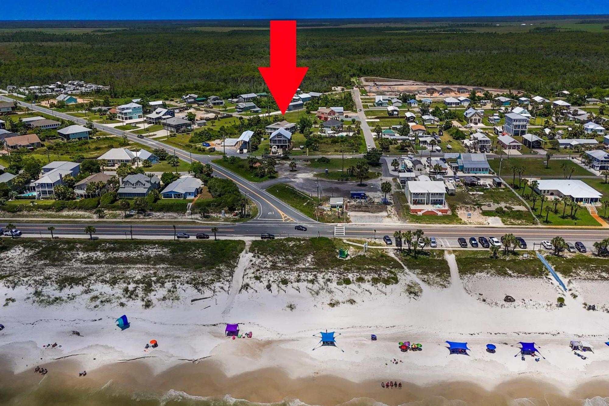 Kiwi * Port St. Joe