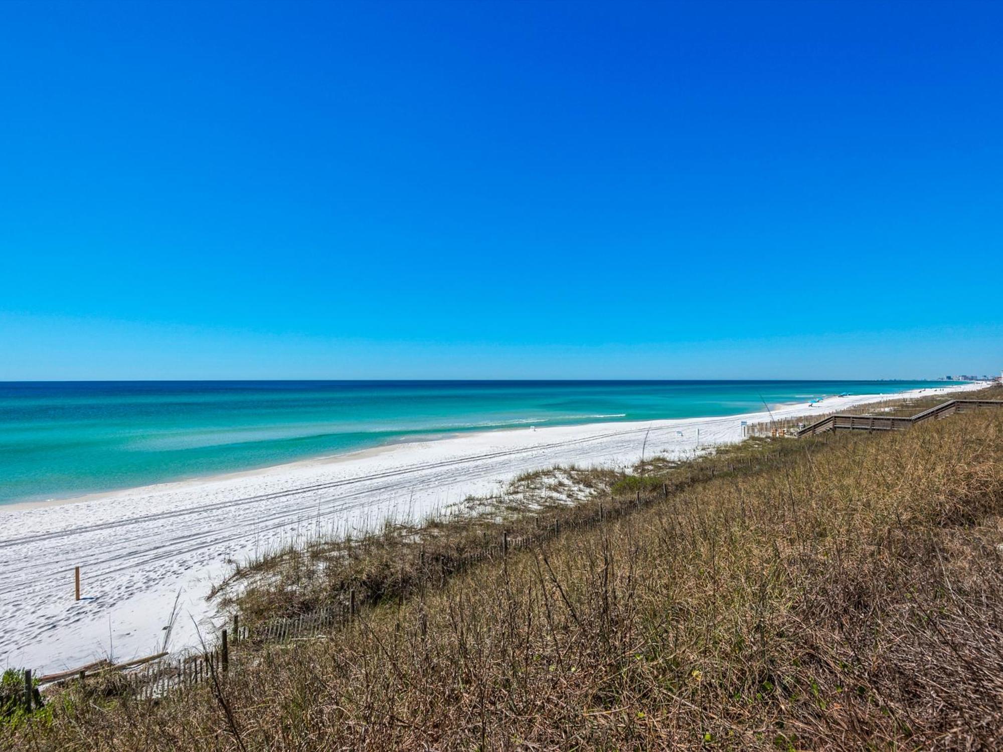 Palms Of Dune Allen 107 By Newman-dailey