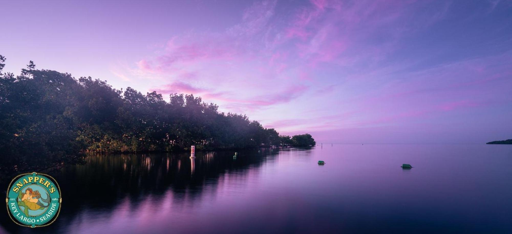 Snappers Key Largo