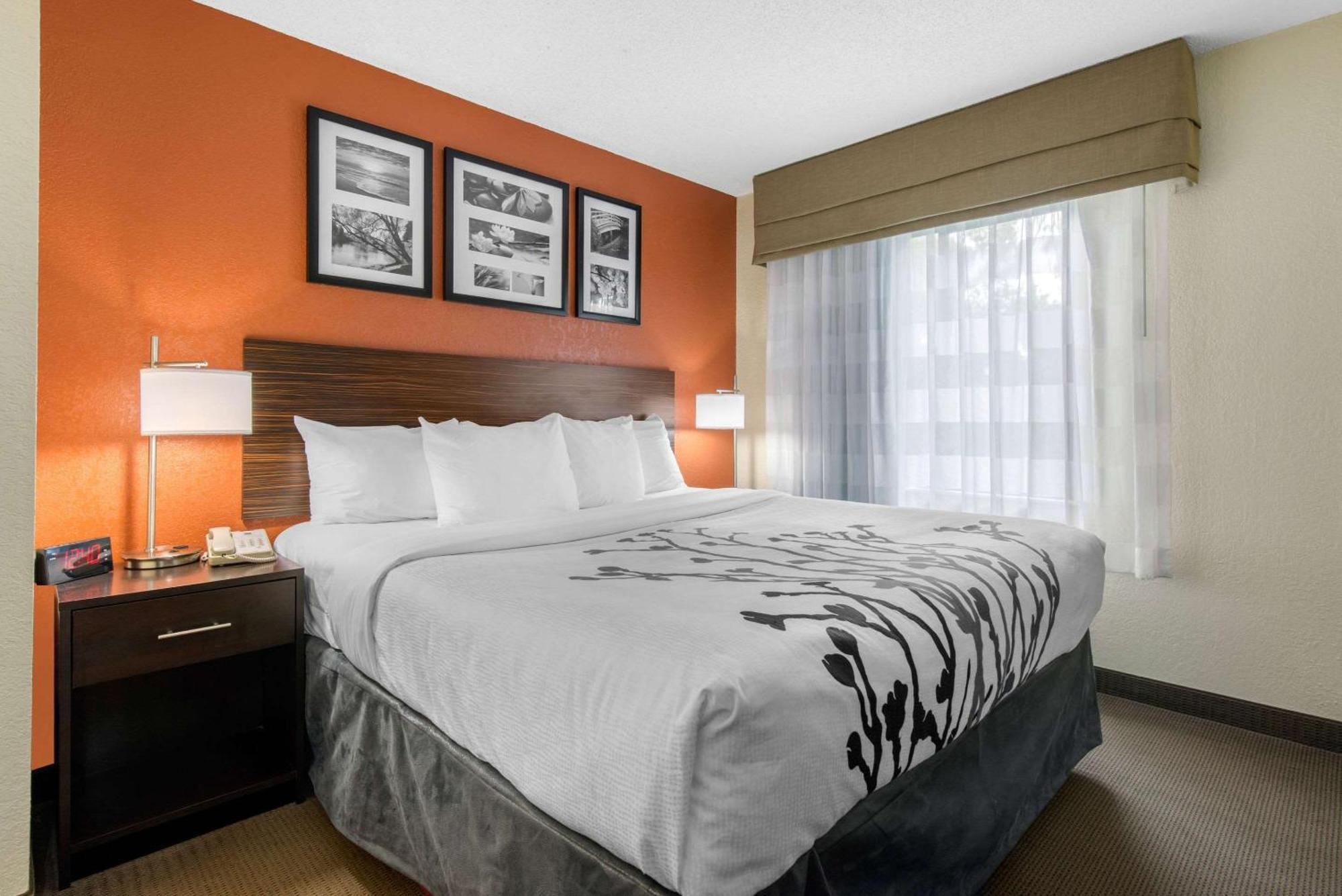 Inn Sleep North 2*