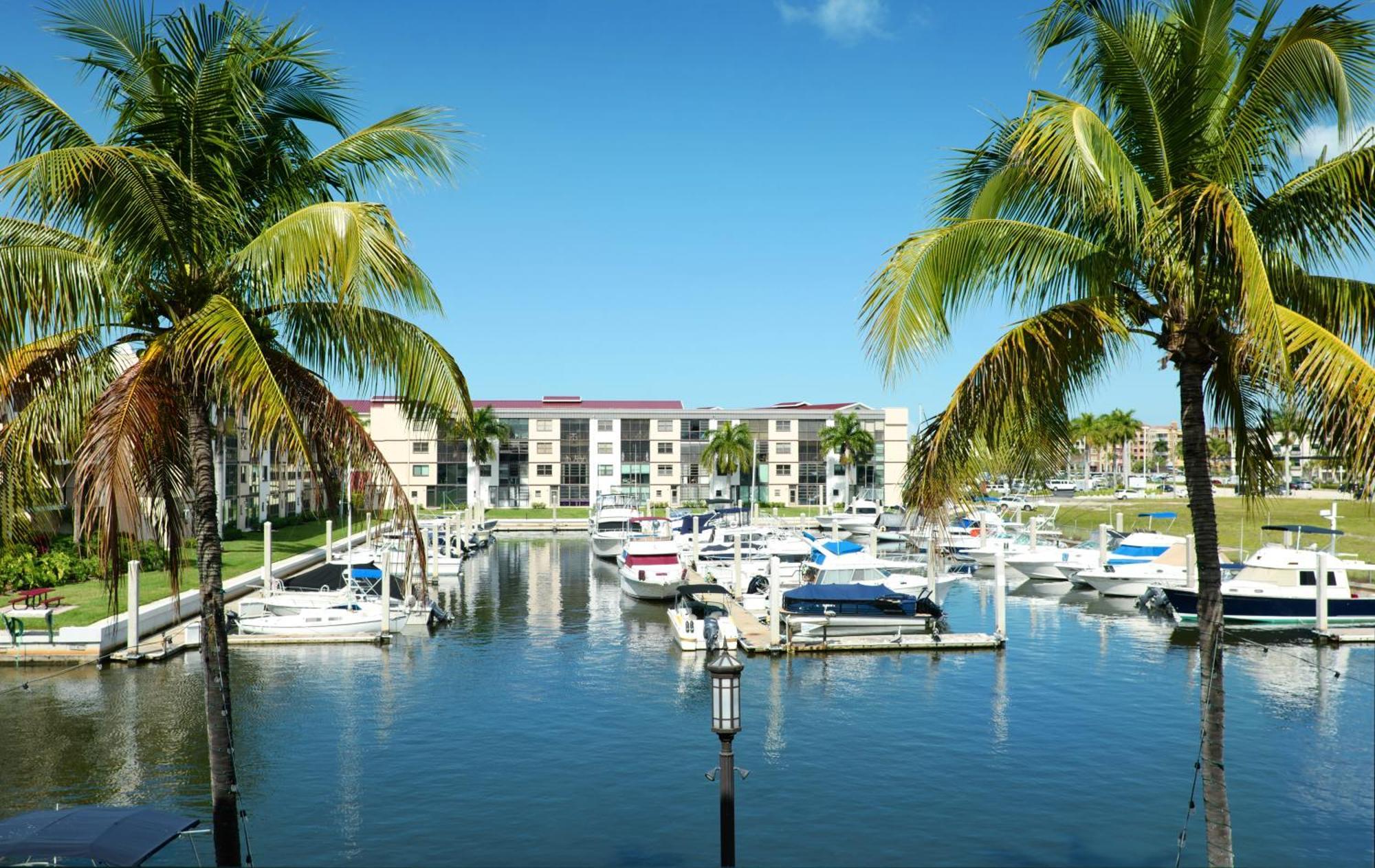 Bay And Marina