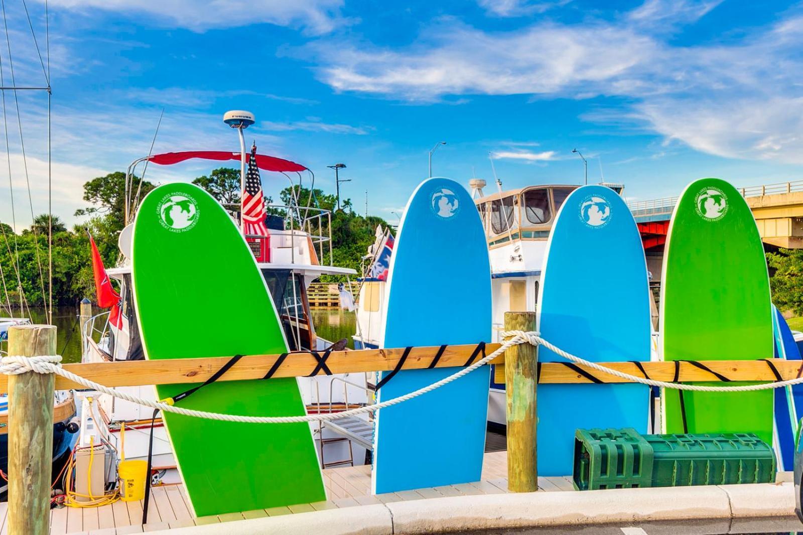 Dolphins Vacation