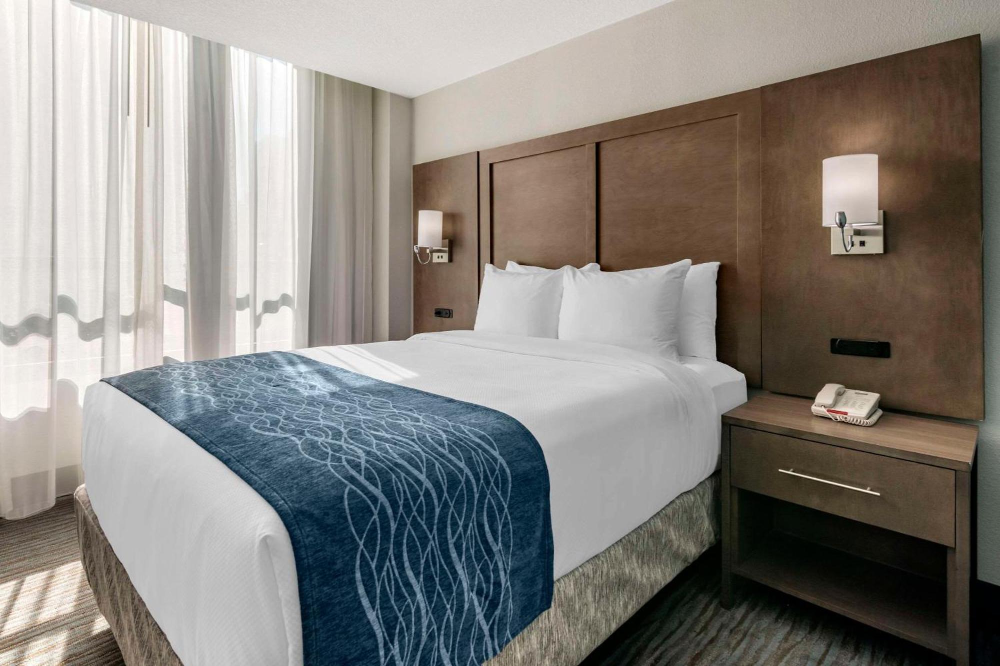 Hotel Comfort & Downtown Brickell-port Of Miami