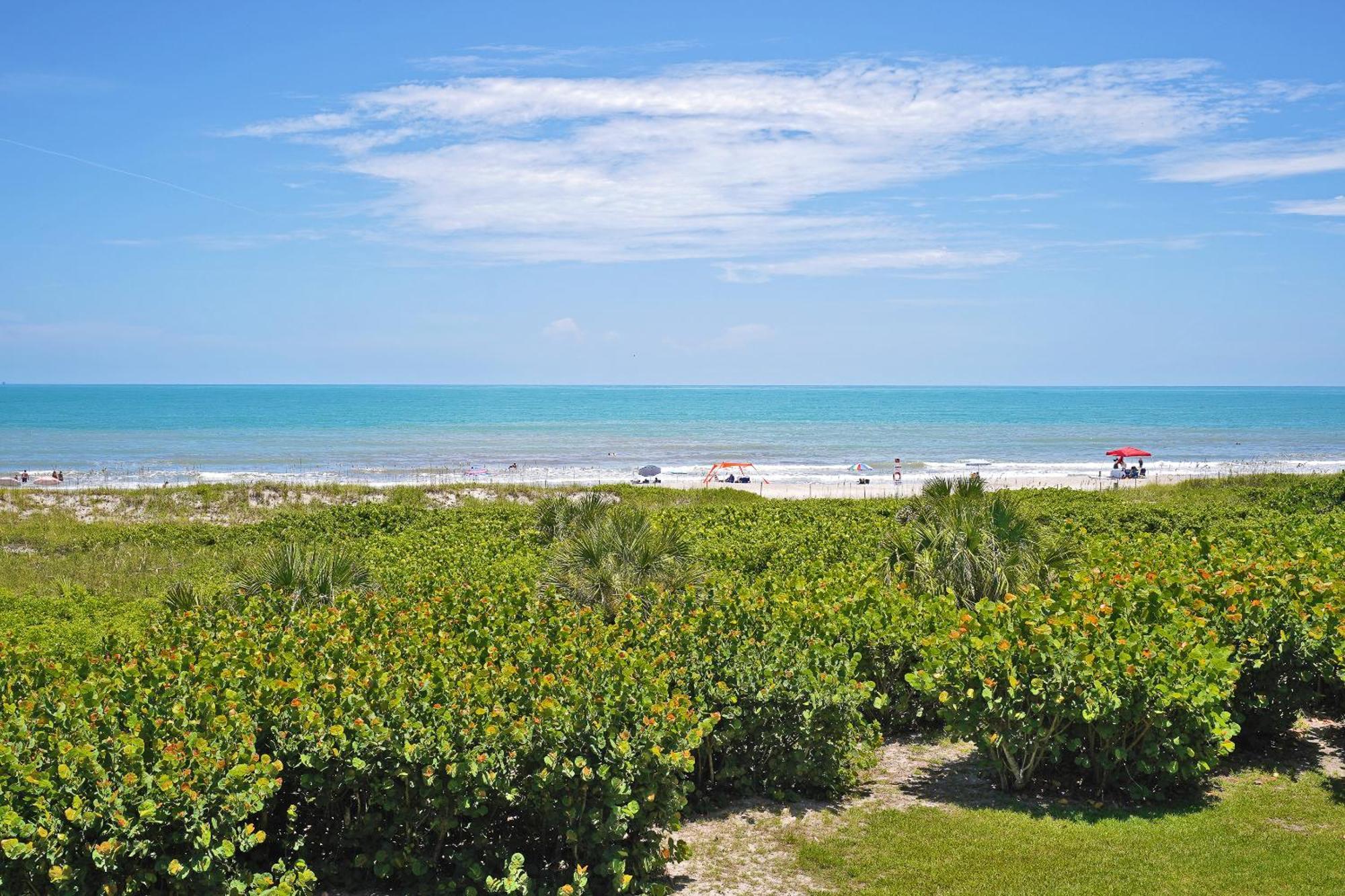 Cape Winds Cape Canaveral