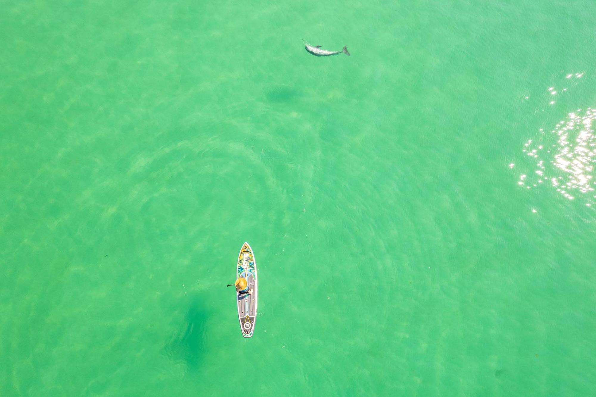 Apartment Inlet Reef 412- By Isle Destin