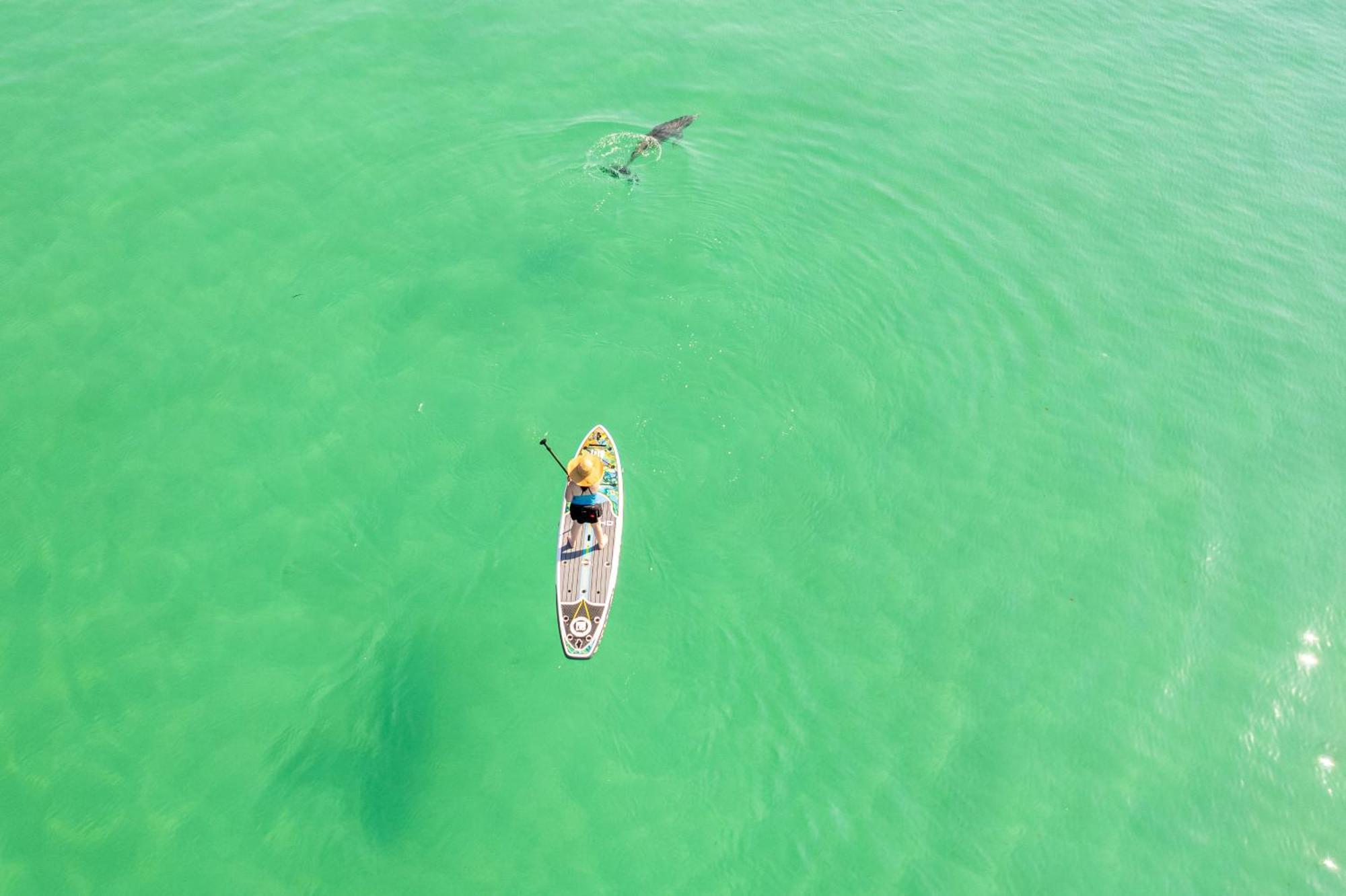Inlet Reef 412- By Isle