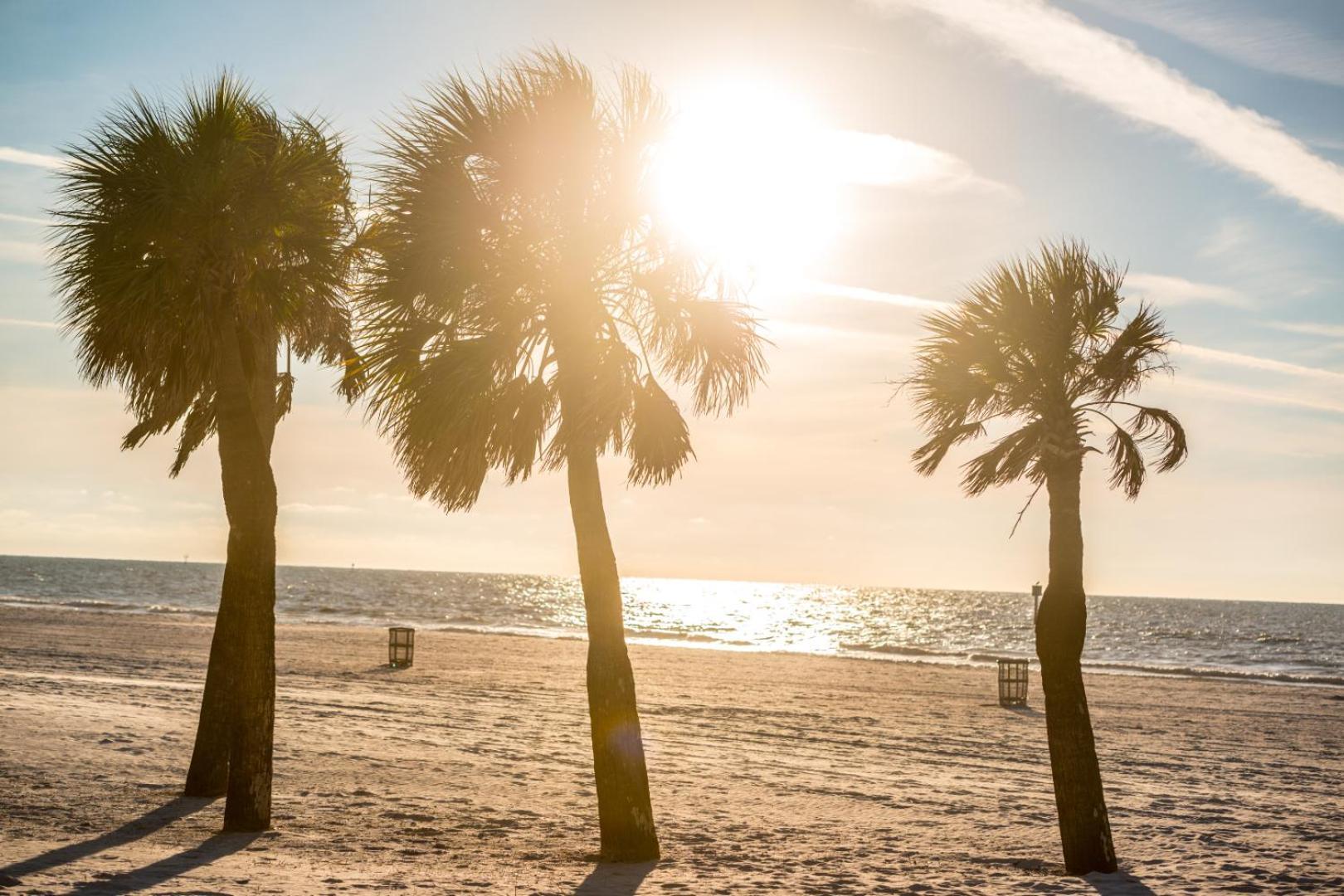 Resort Saltwater Hideaway - Waterfront - Coral #e-2 Clearwater Beach