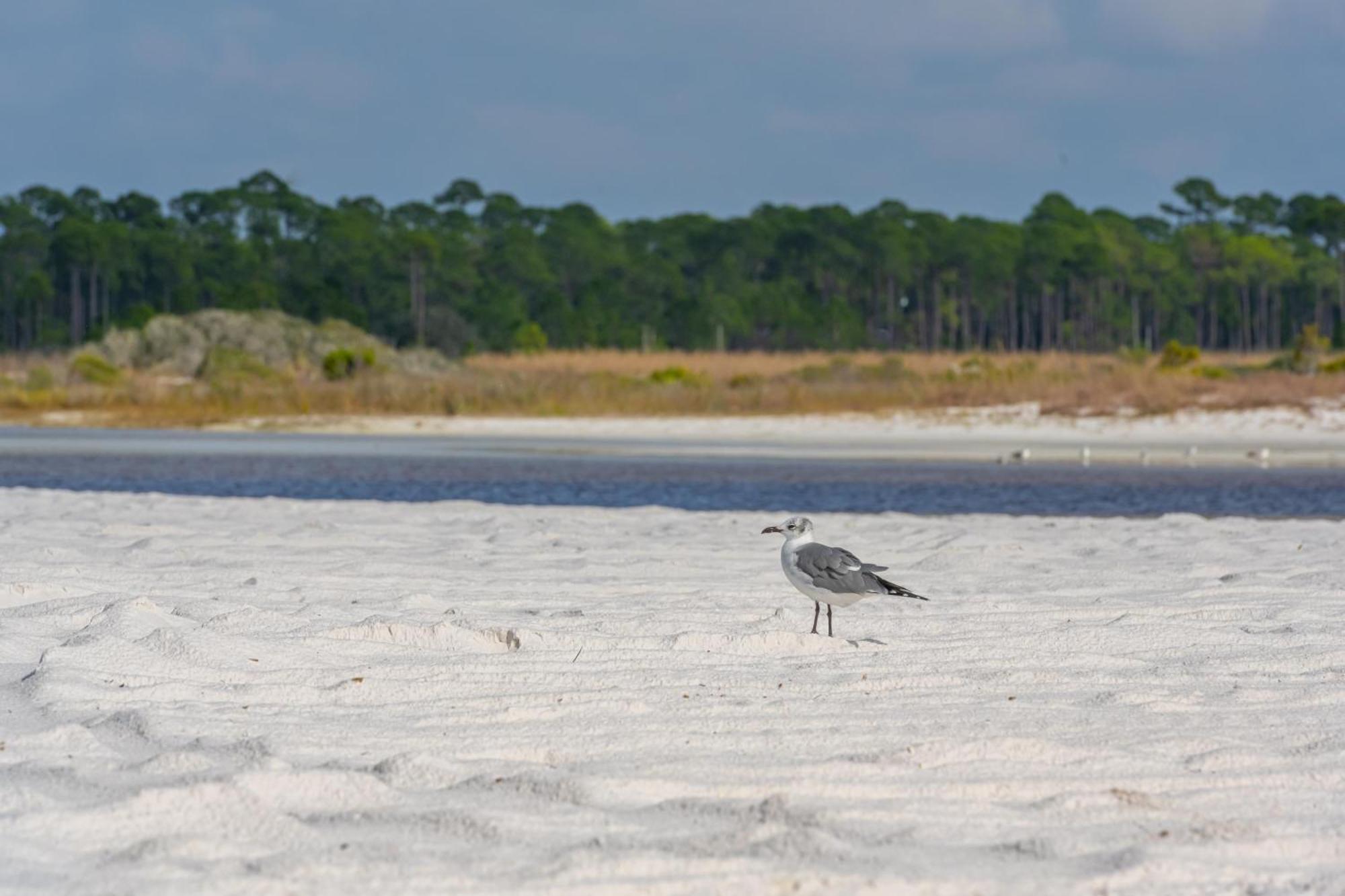 Incogbeacho - 505 Defuniak Street Santa Rosa Beach
