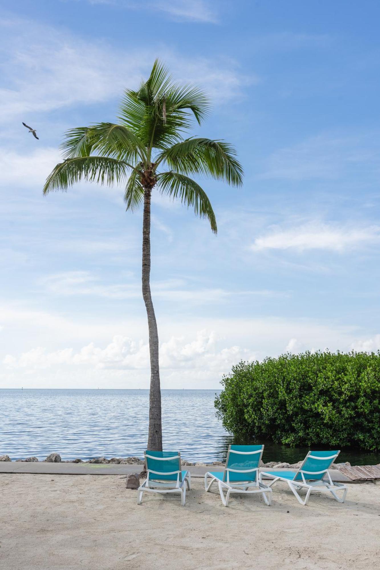 Fisher & Marina Hotel Islamorada