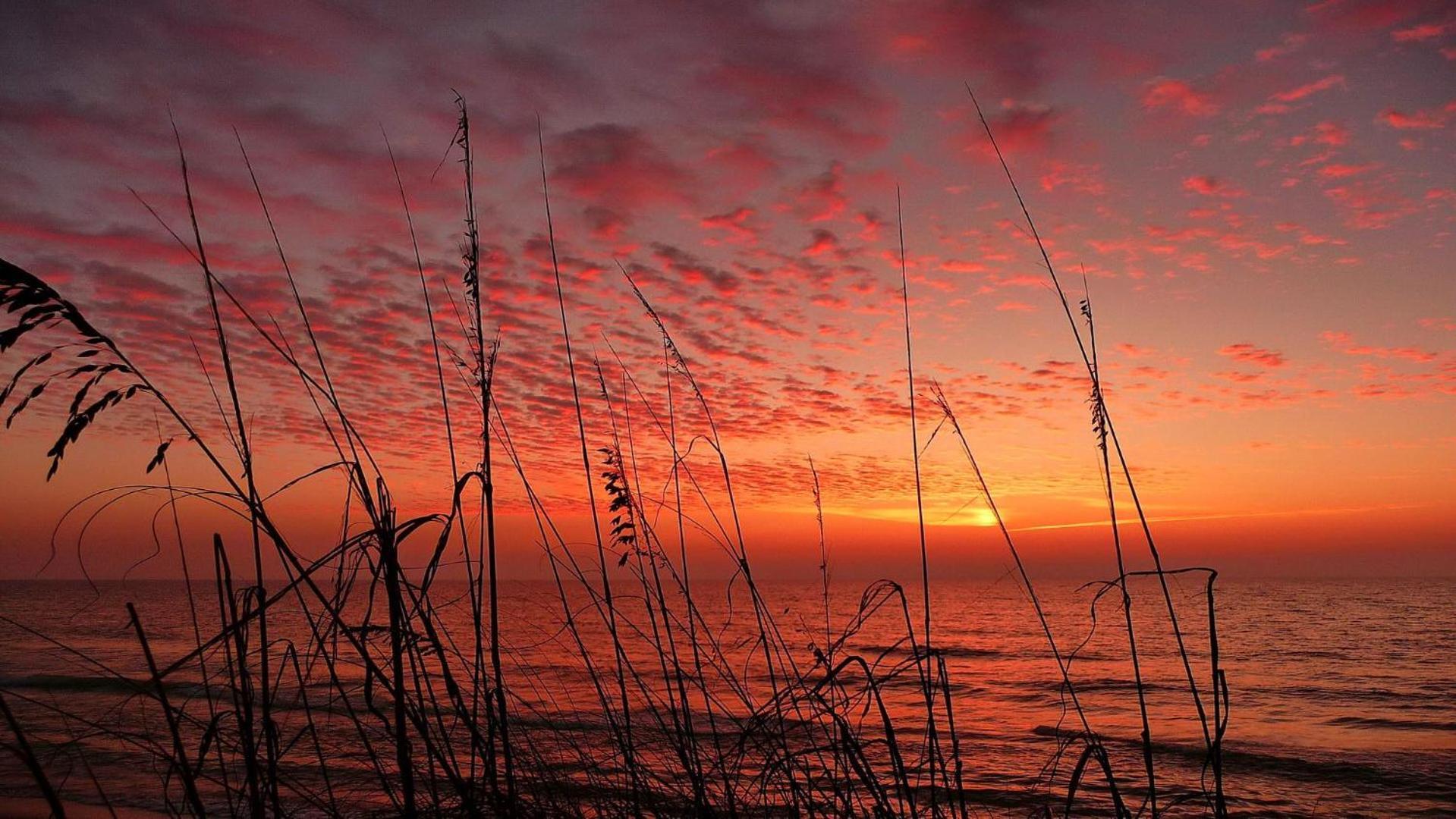 Coquina Hideaway