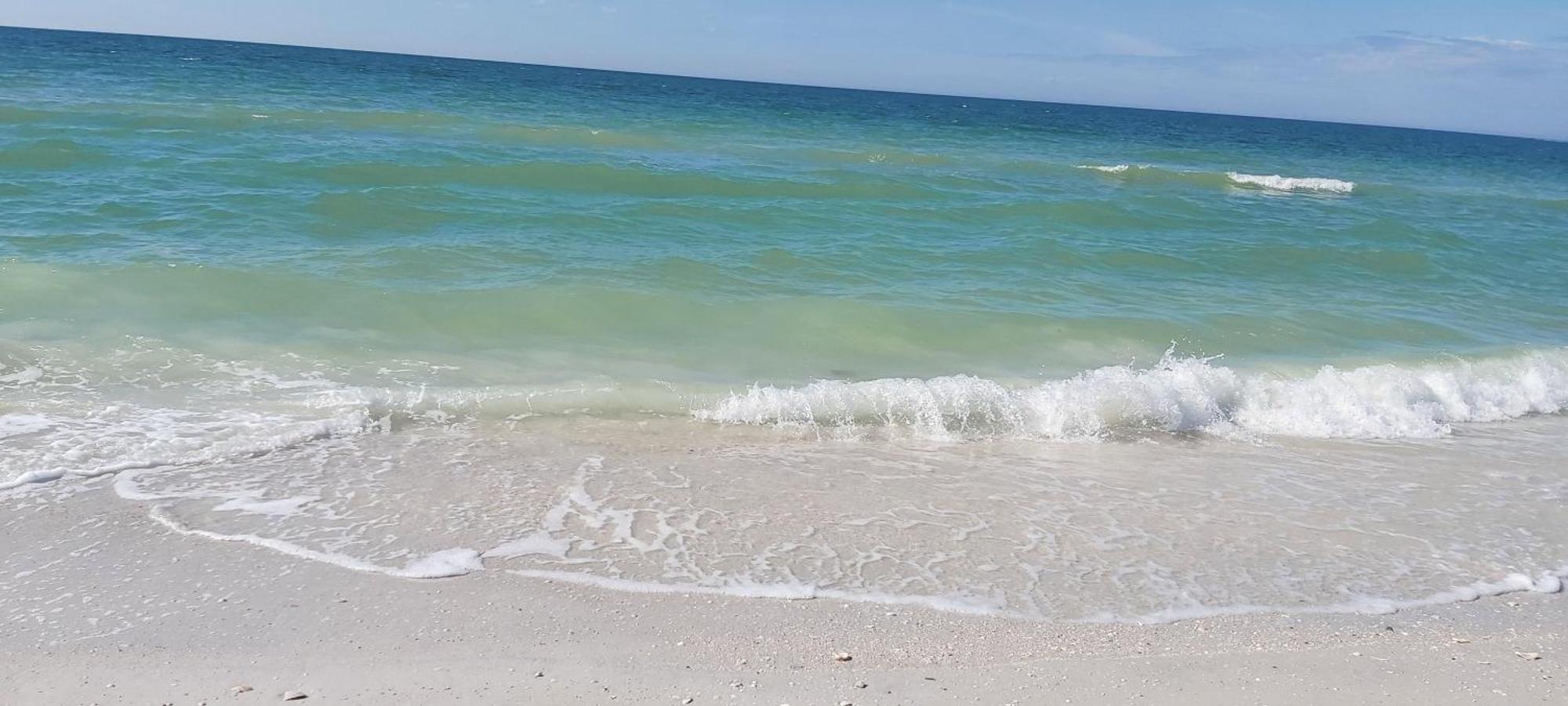 Coquina Hideaway Holiday home *