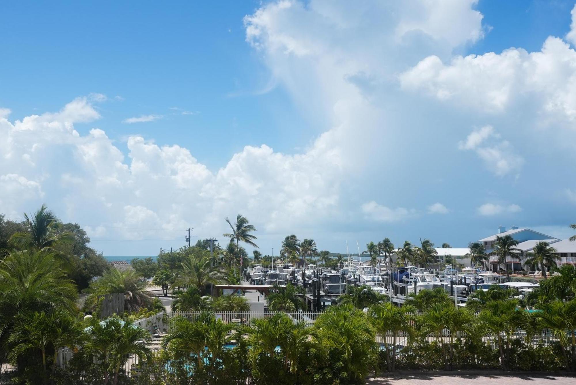Apartment Coastal Chic Getaway Modern 2 Bed 2 Bath In Key Largo, Marina Pool Pickleball *