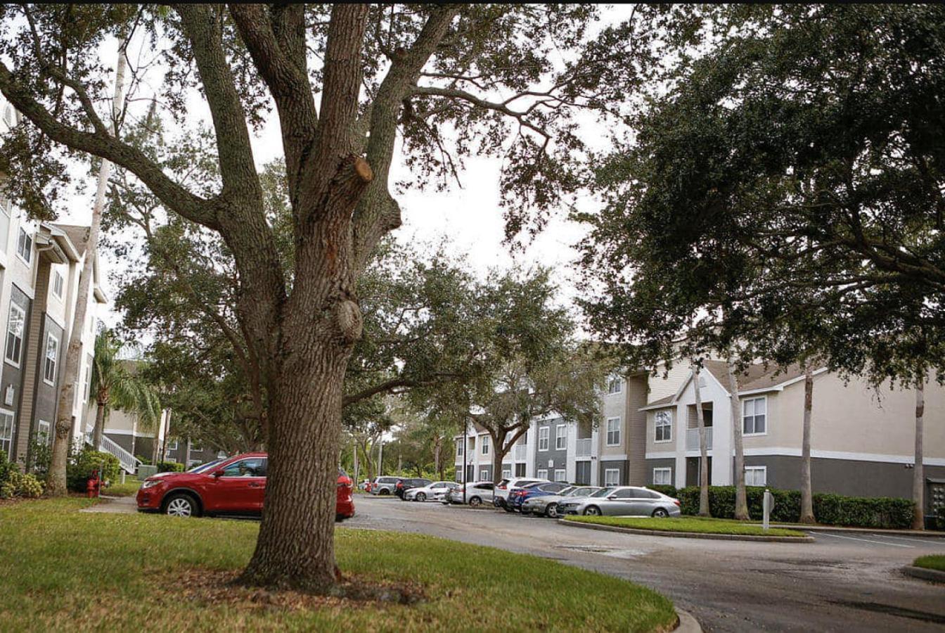 Landing At Champions Walk - 1 Bedroom In South Apartment