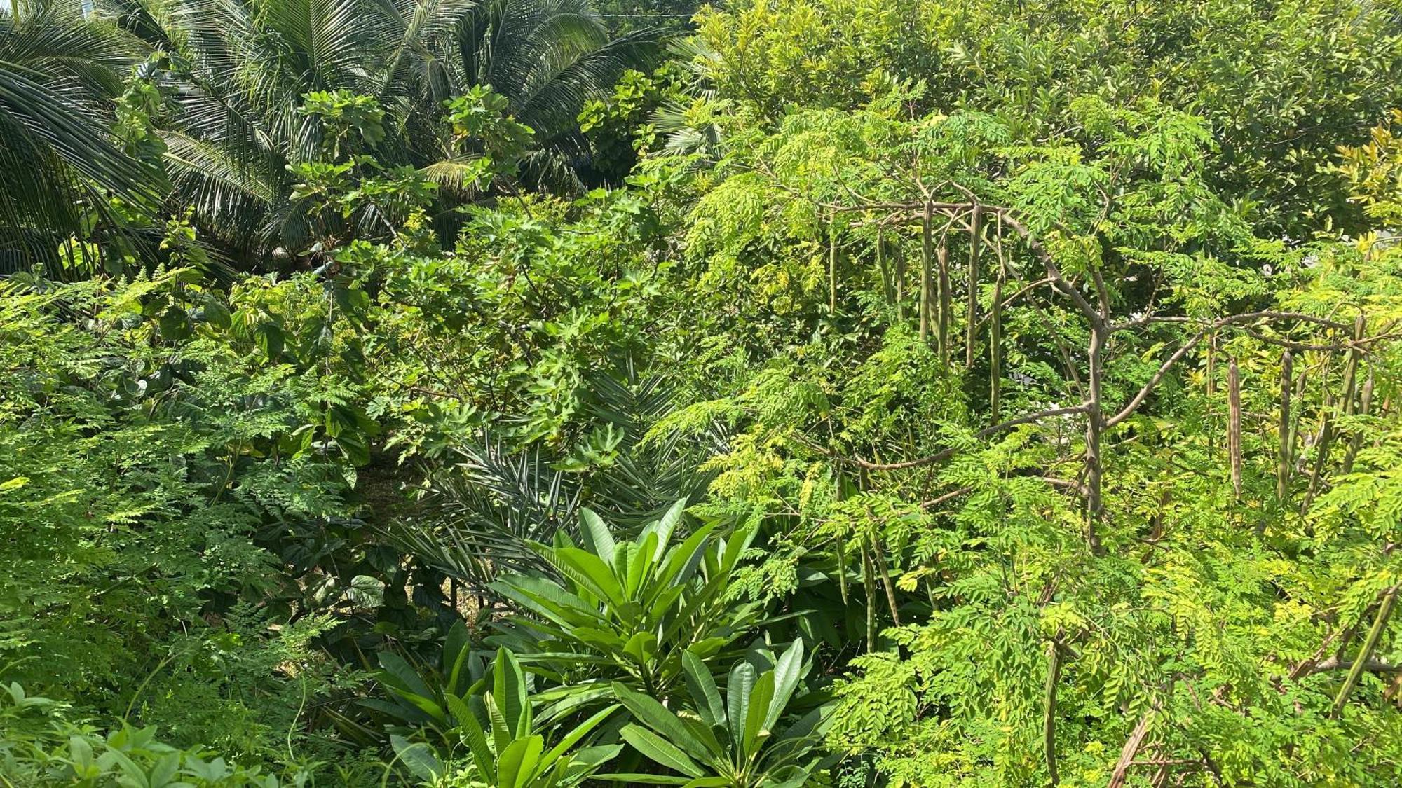 Ocean View With Pool, 4 Bedroom Near Key West Villa *