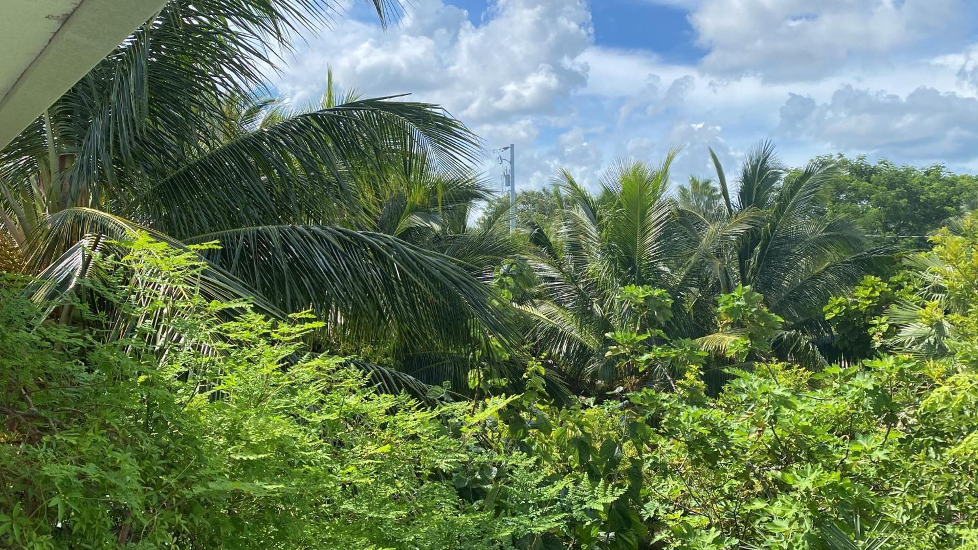 Villa Ocean View With Pool, 4 Bedroom Near Key West *