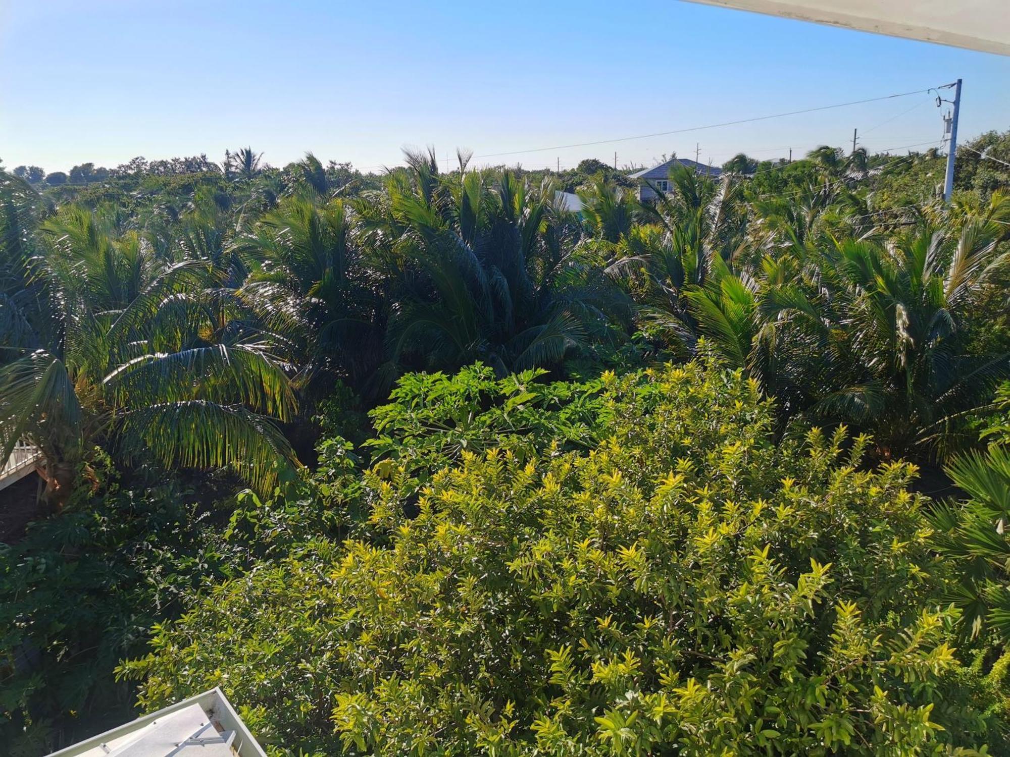 Ocean View With Pool, 4 Bedroom Near Key West Villa *