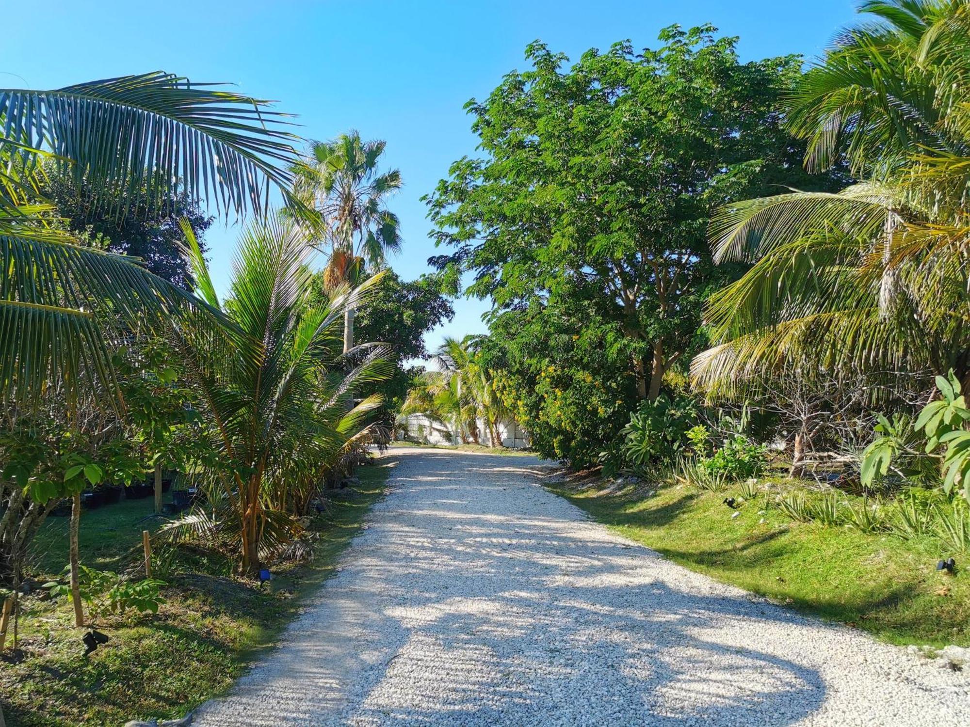 Ocean View With Pool, 4 Bedroom Near Key West Villa