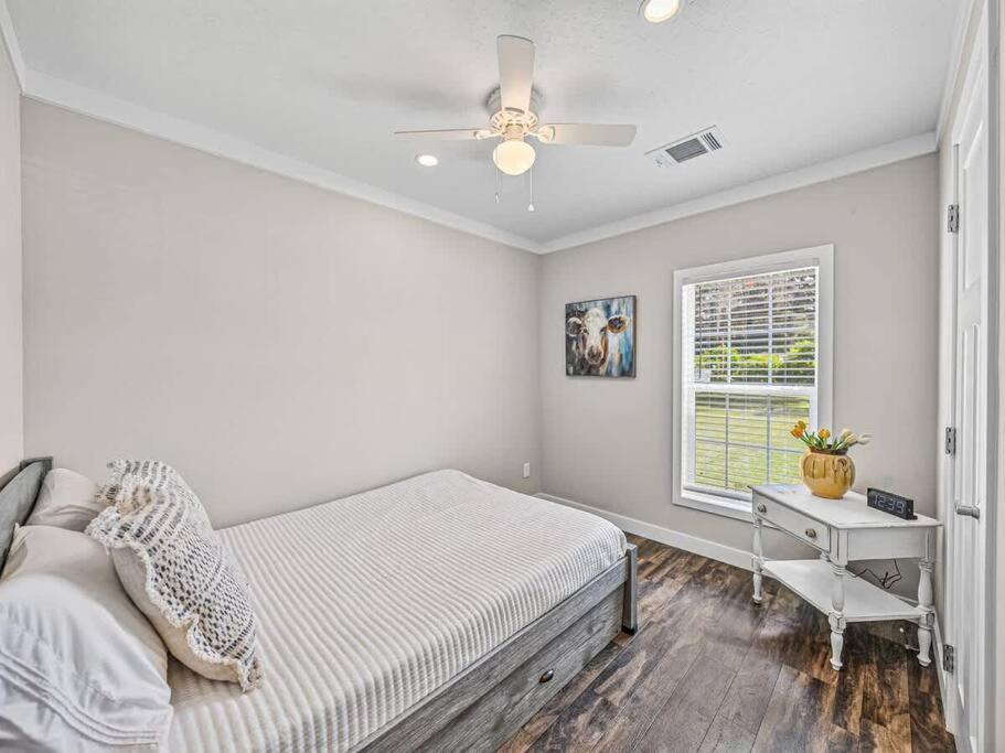 The Cozy Zephyrhills