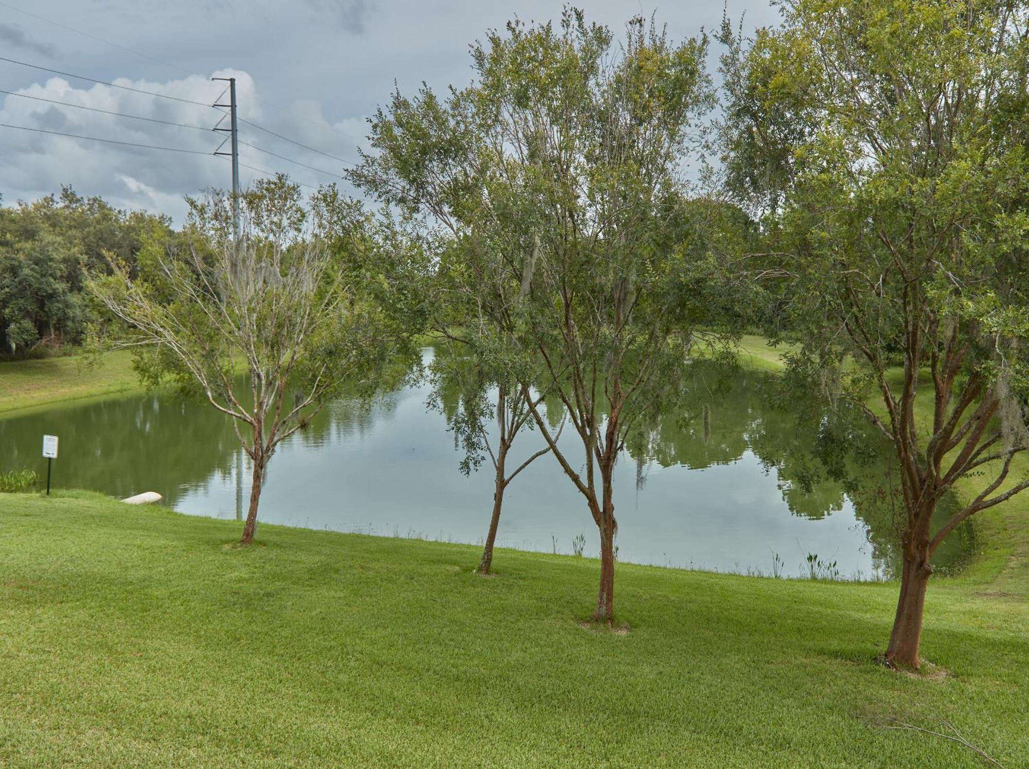 Resort Spring Retreat Near Disney, Perfect For Families