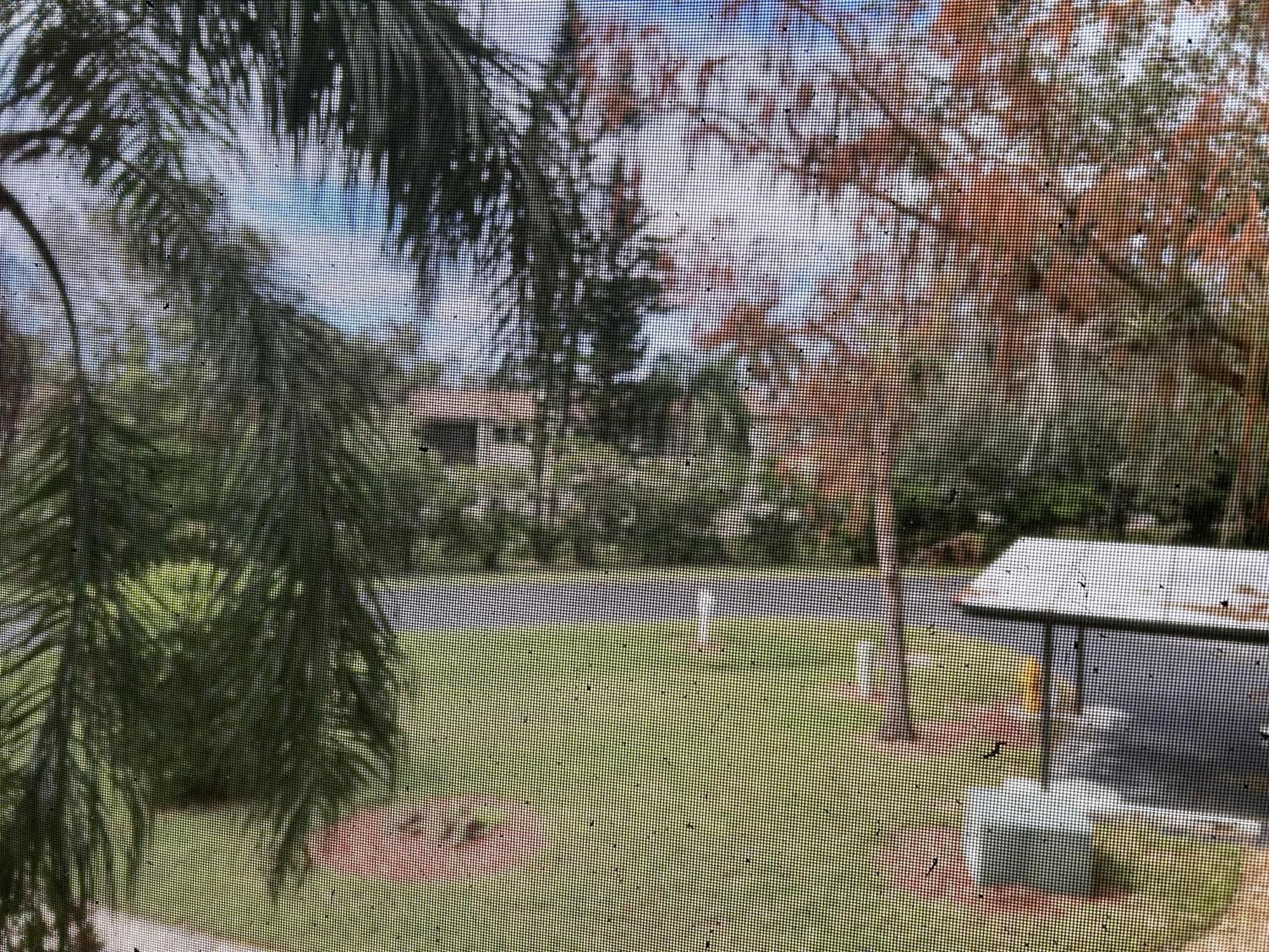 Beautiful Two Master Bedroom In Myers, Venetian Palms Apartment Fort Myers
