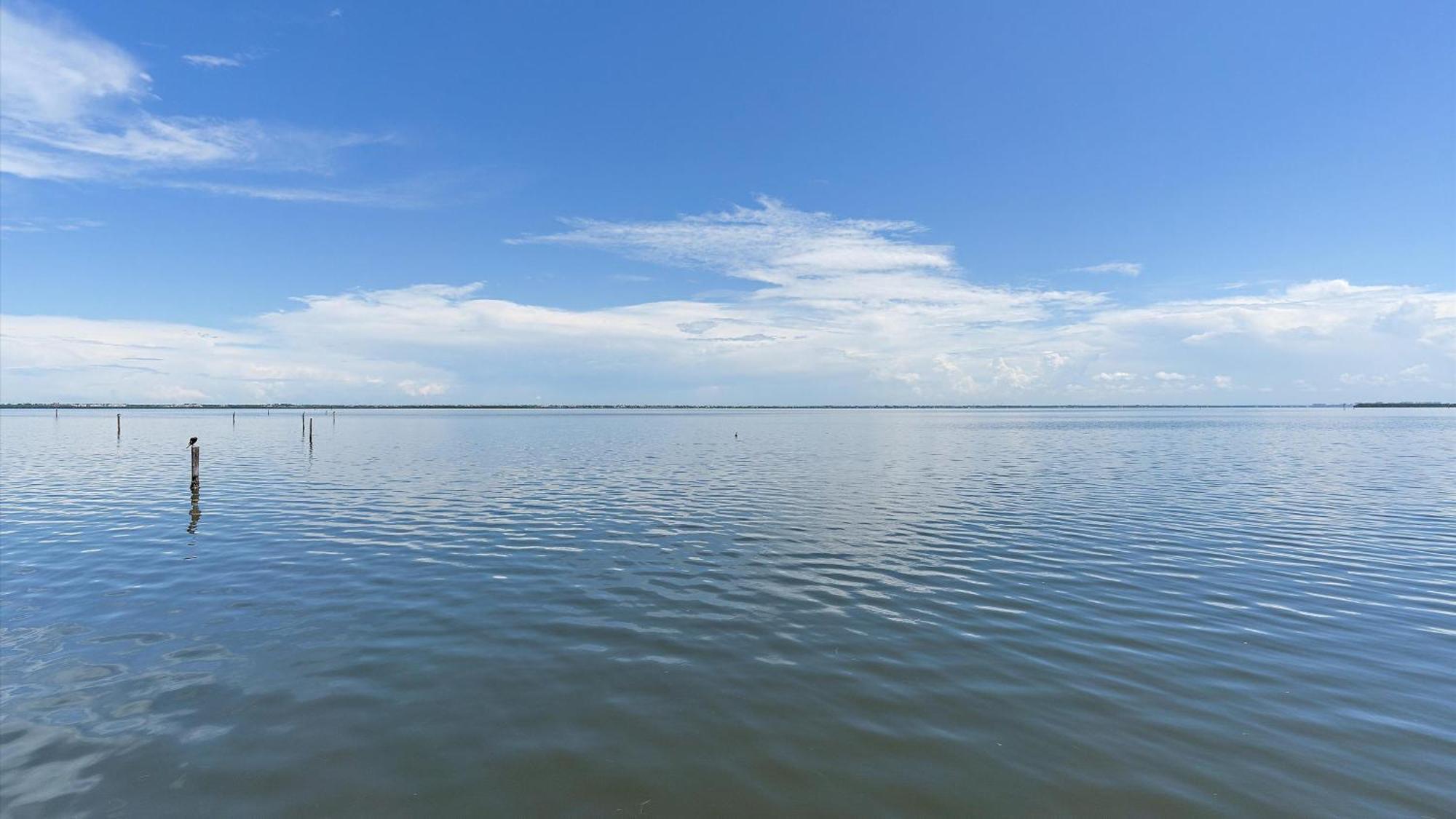 Just Beachy Longboat Key
