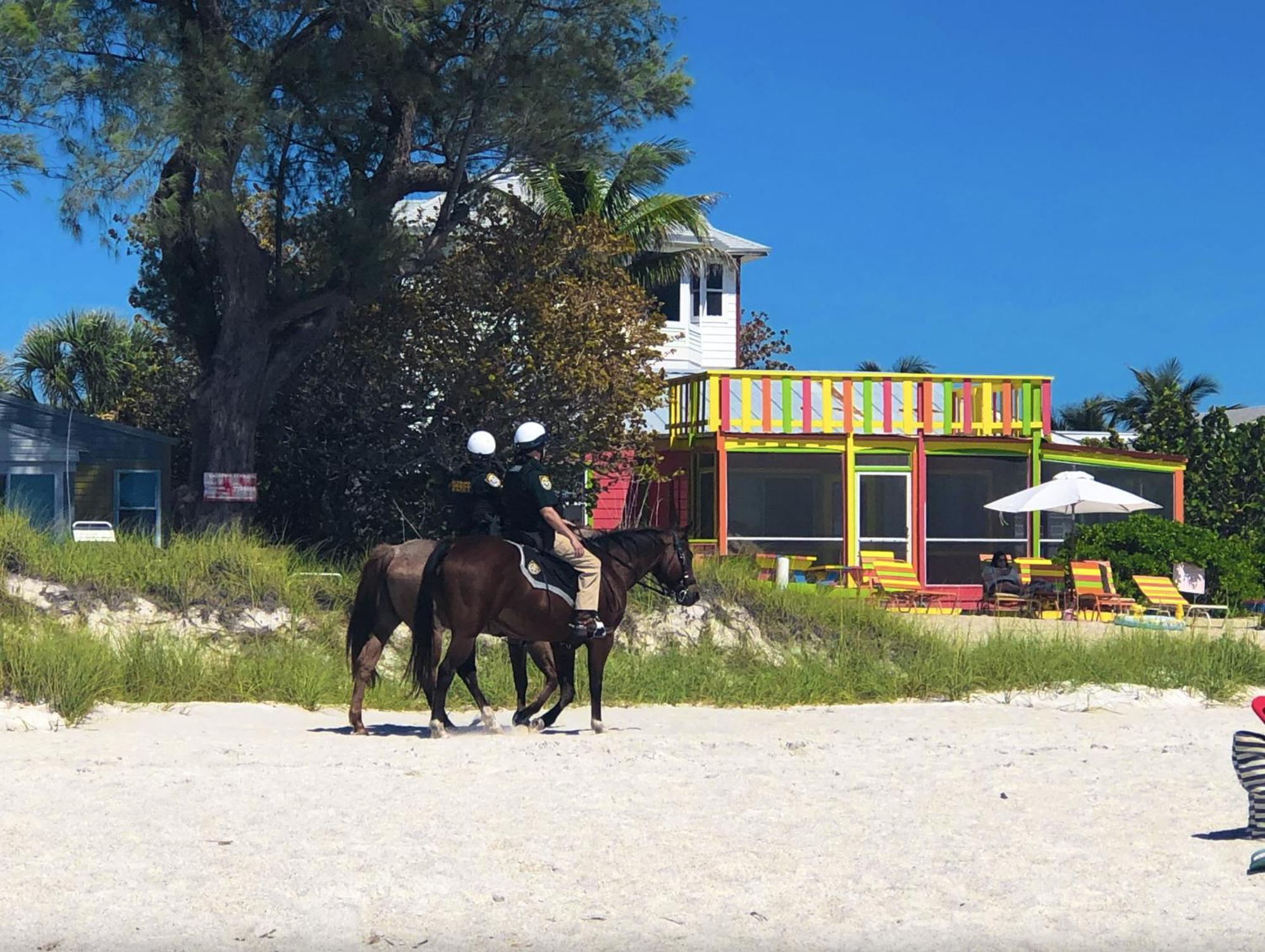 Apartment Anna Maria Island Sunshine Kiss By The Island In The Sun