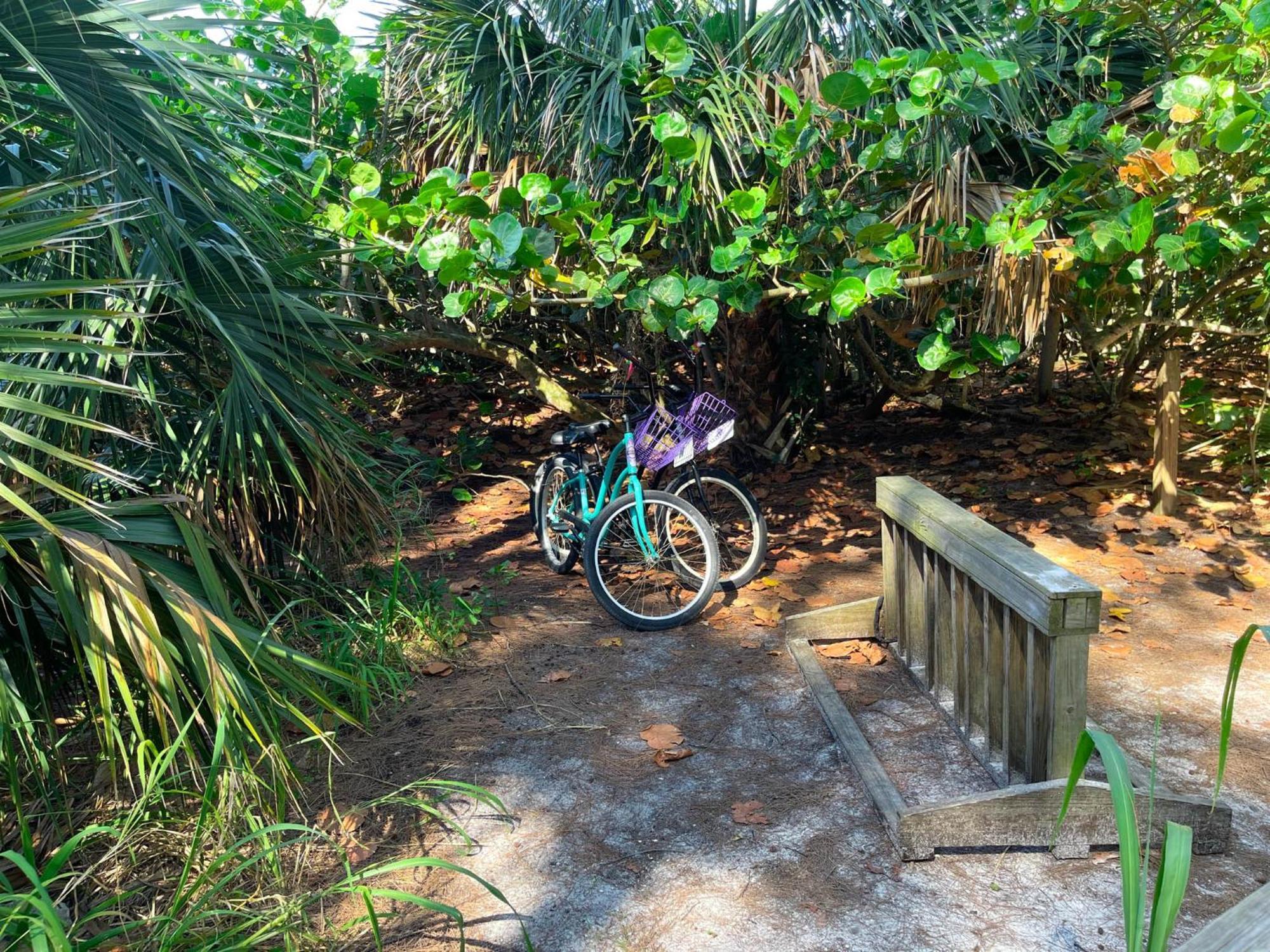 Apartment Anna Maria Island Sunshine Kiss By The Island In The Sun *