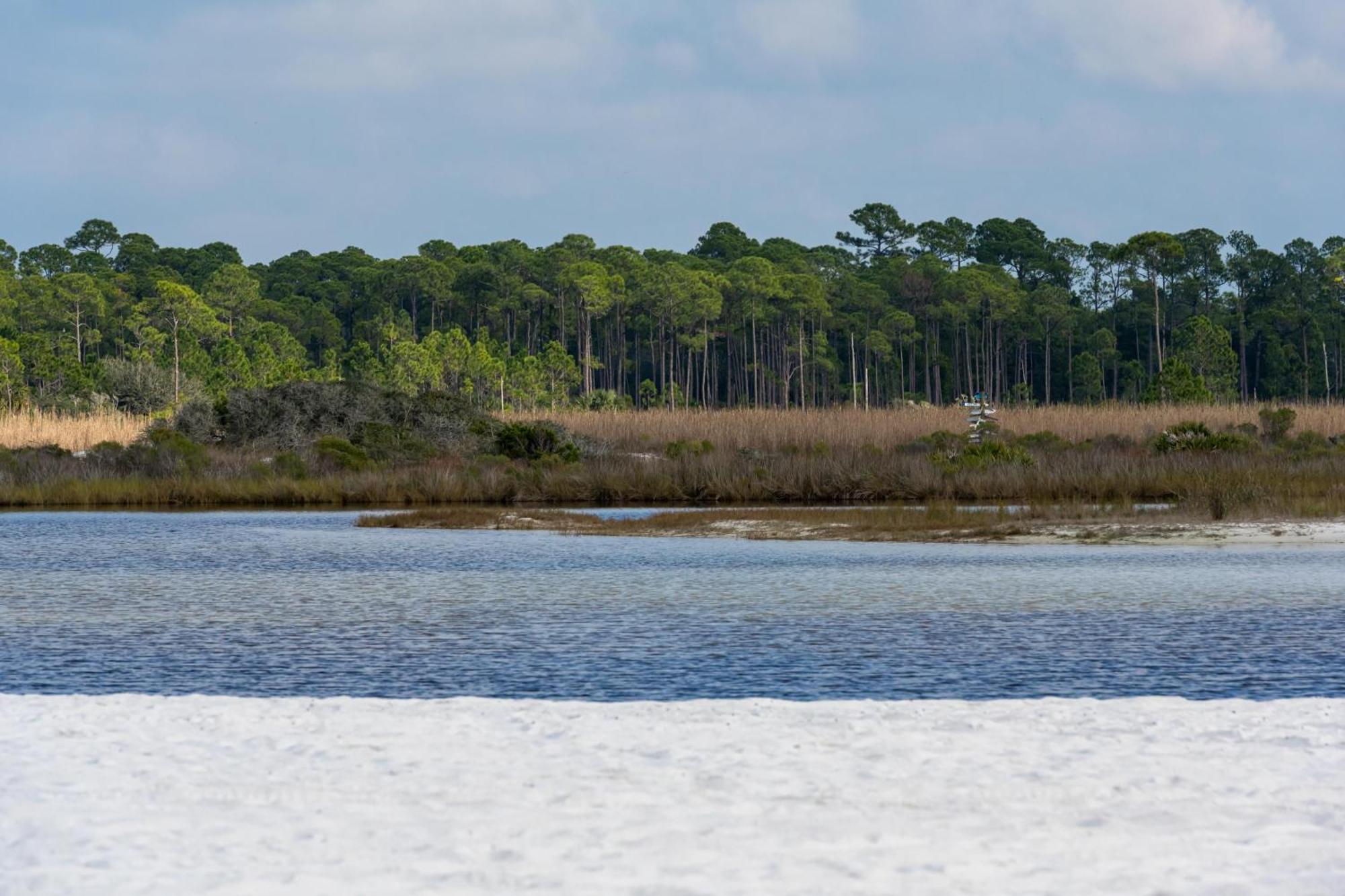 Incogbeacho - 505 Defuniak Street Holiday home *