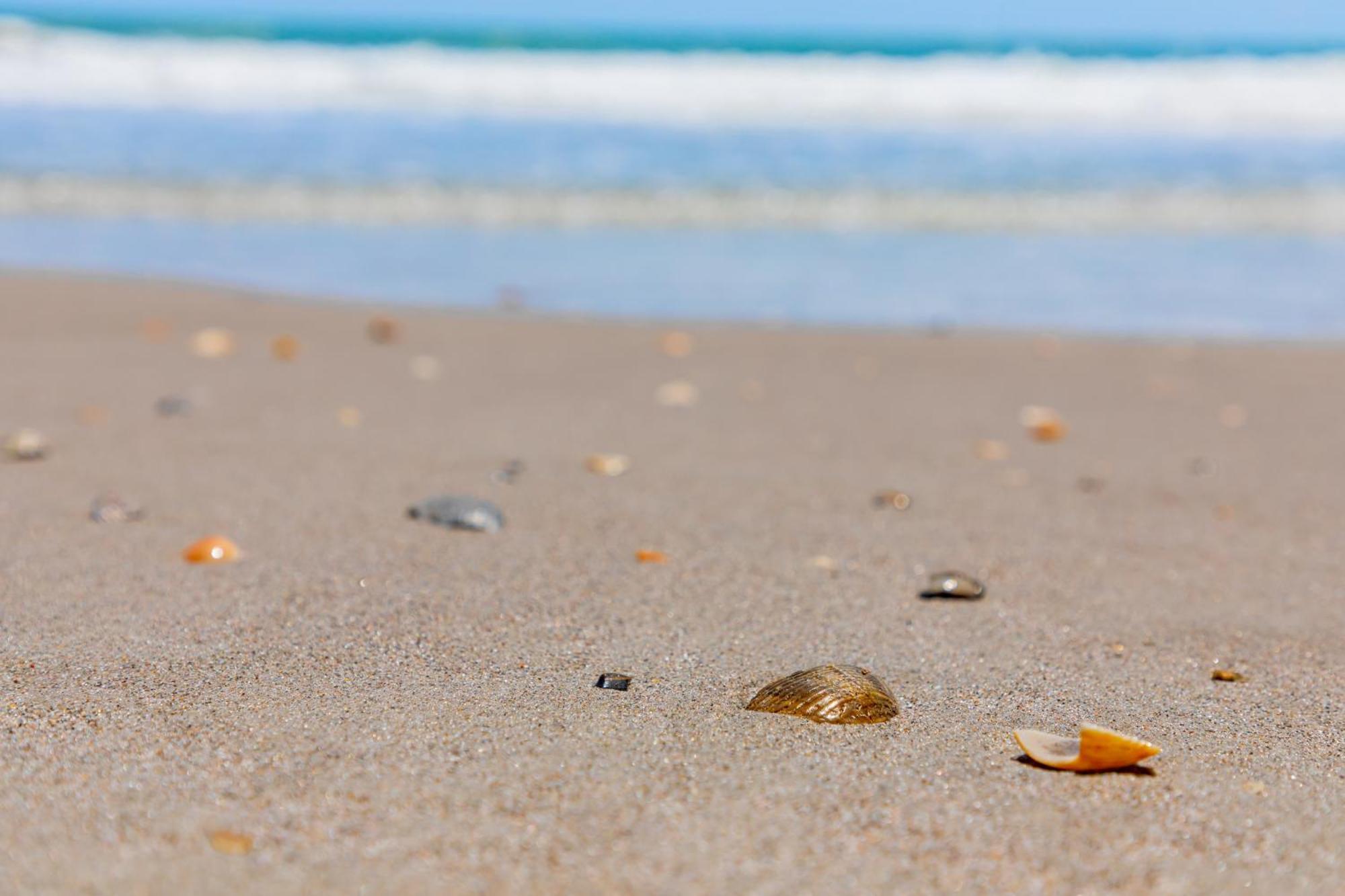 Beachside And Hotel