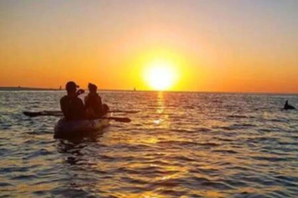 Holiday home Beachfront Paradise - Direct Access To The Gulf *